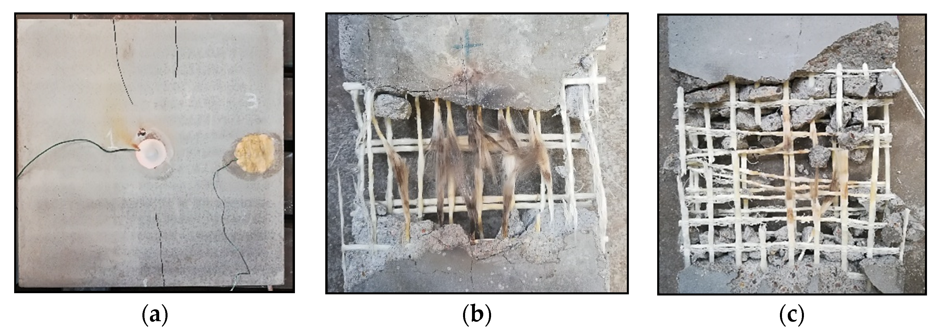 Proceedings 02 00522 g007