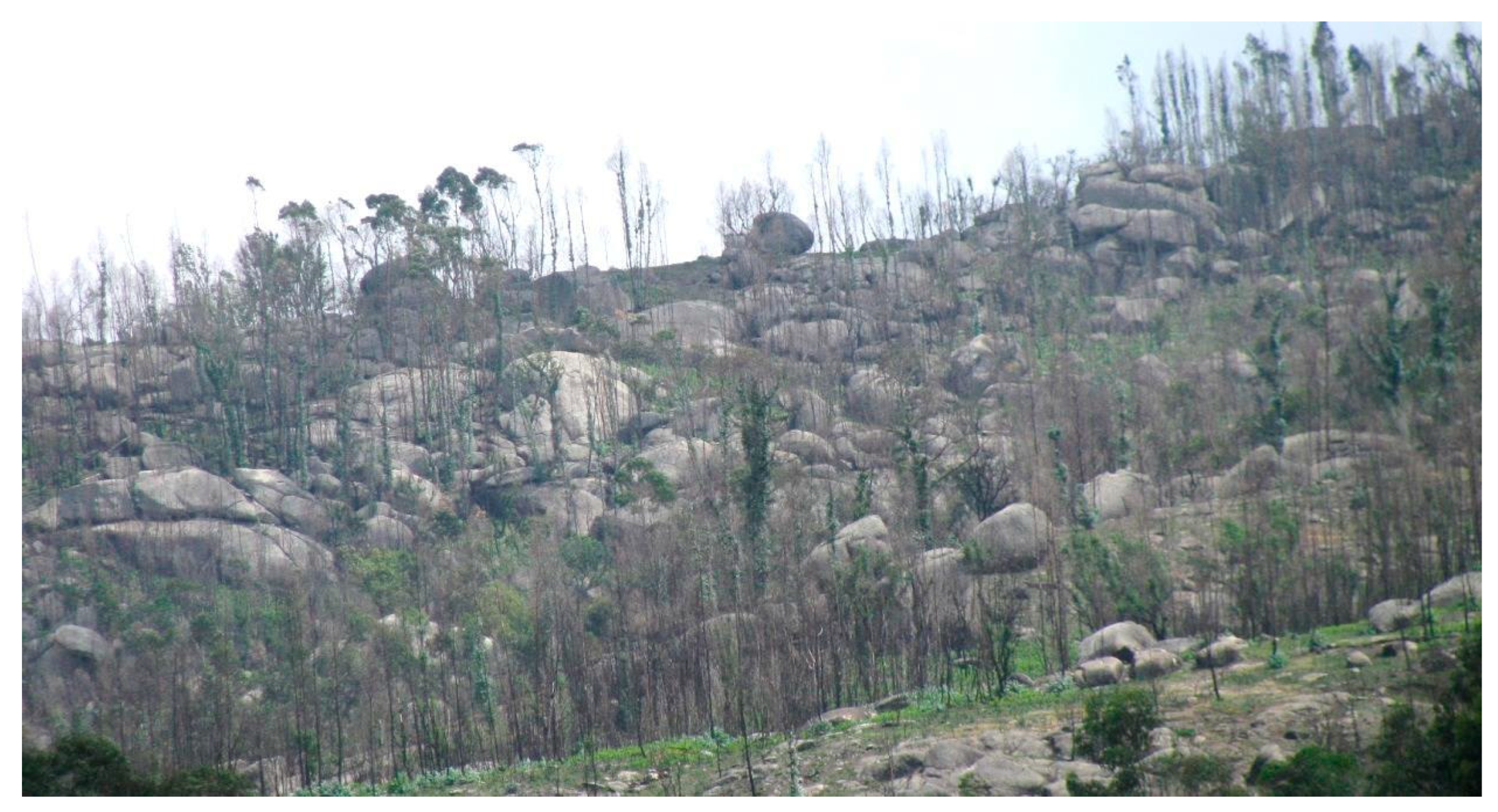 Proceedings 02 00563 g001