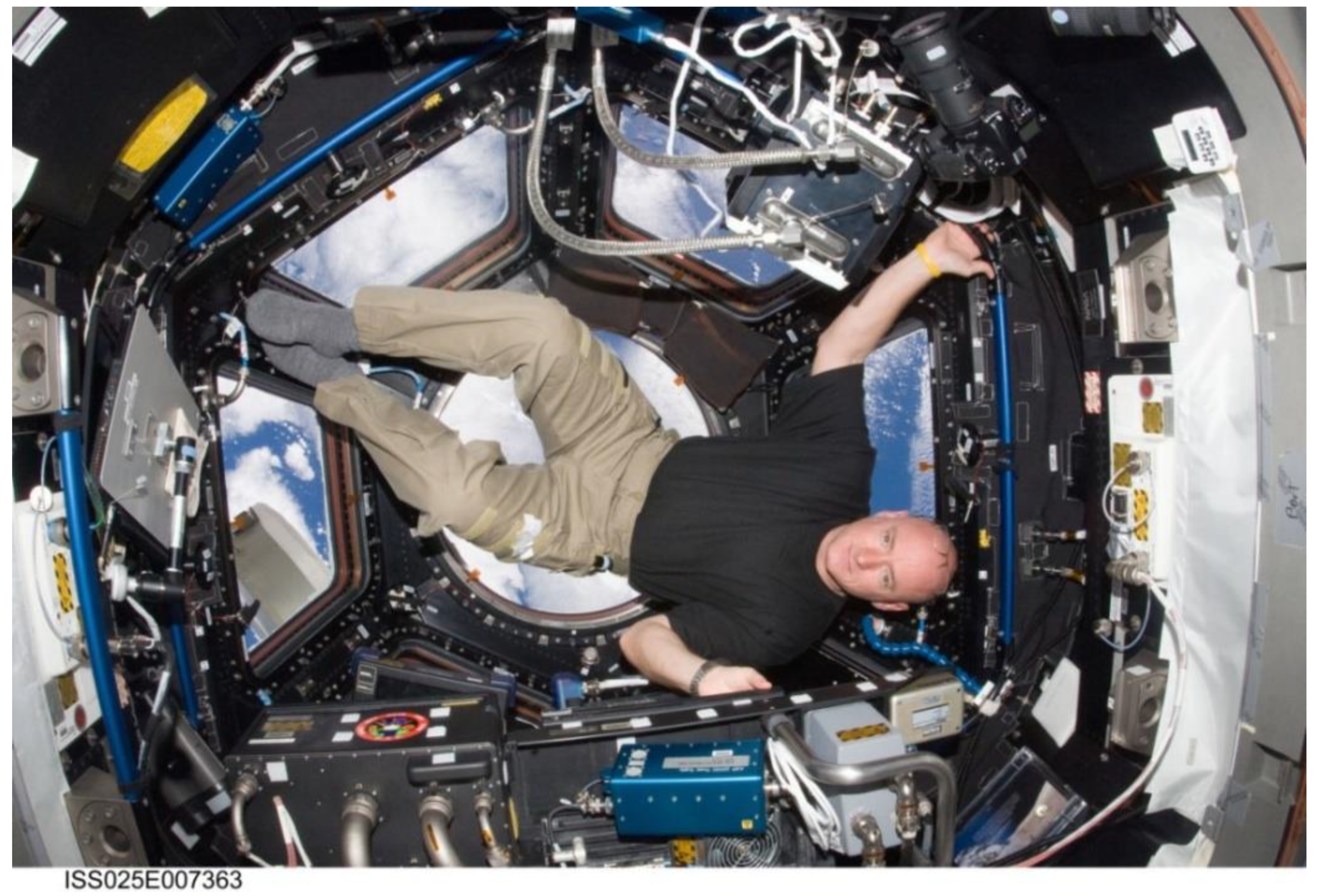 Proceedings 02 00566 g001 550