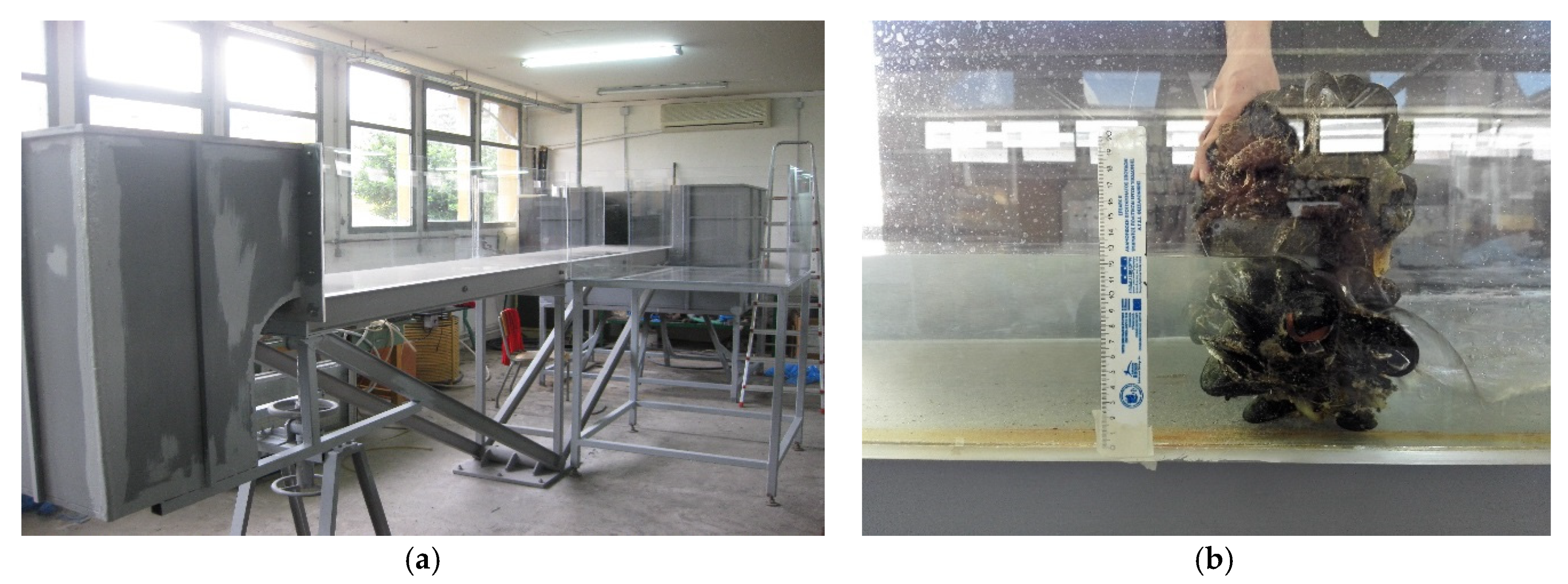 Proceedings 02 00574 g002 550