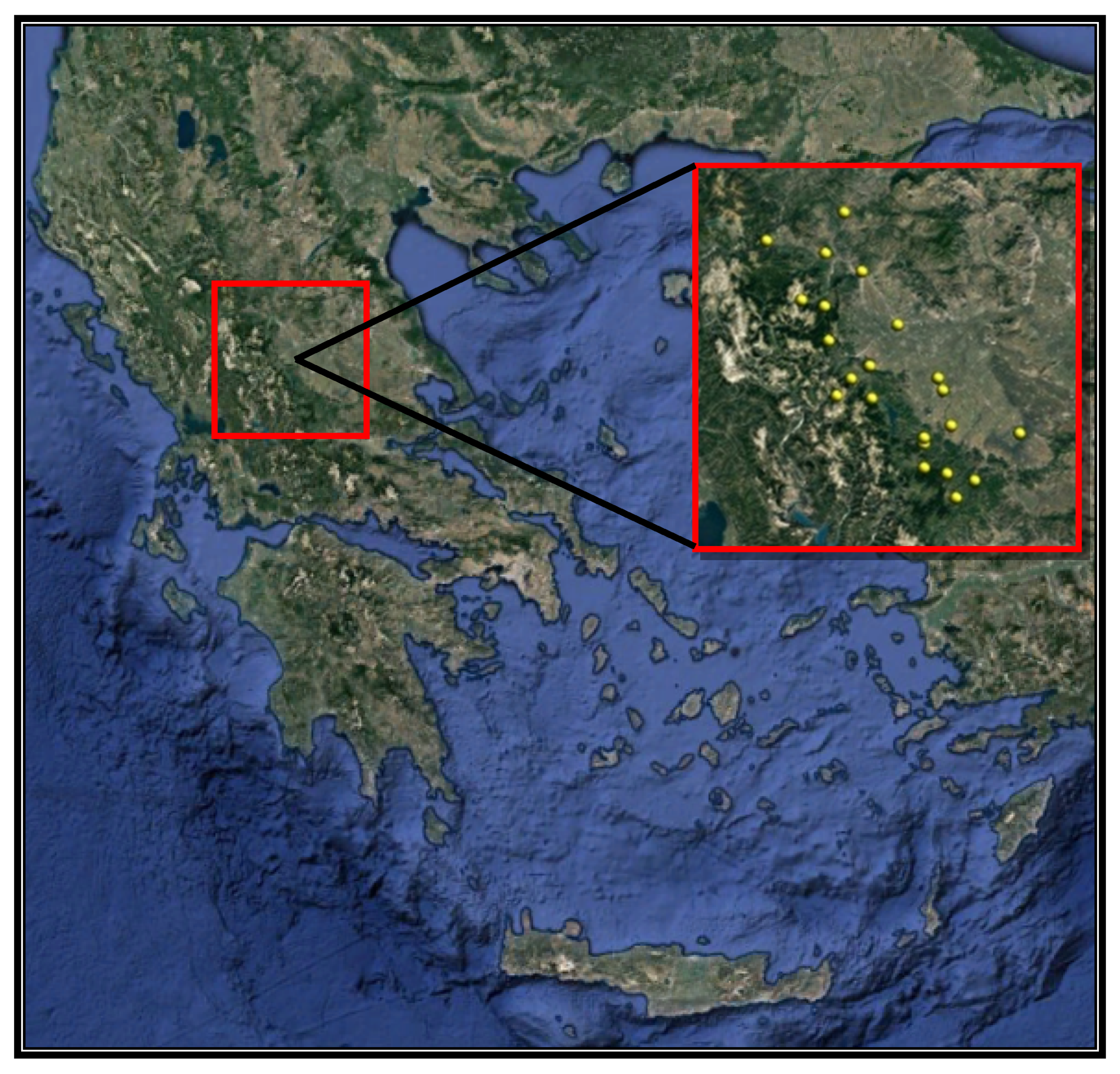 Proceedings 02 00636 g002
