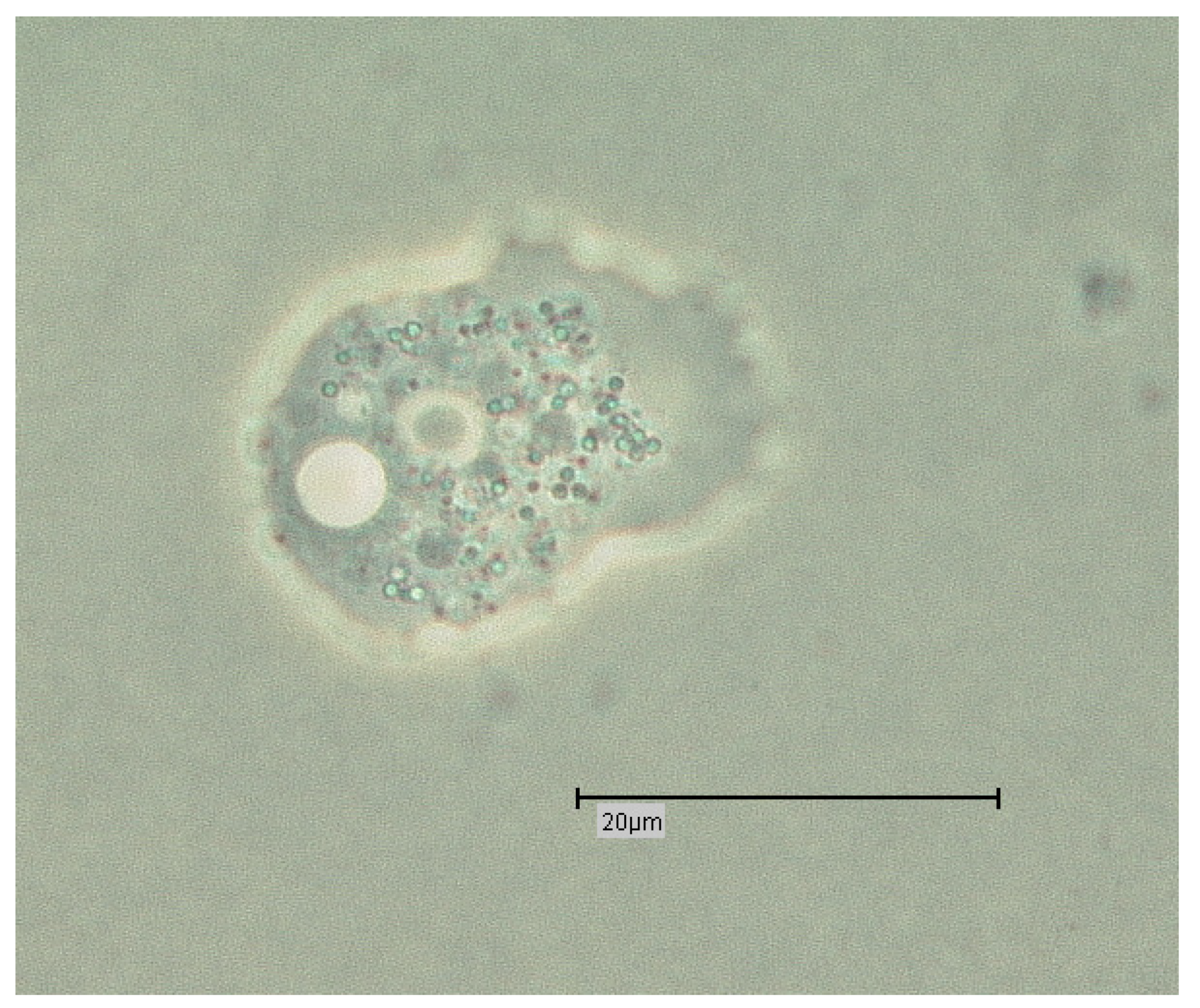 Proceedings 02 00692 g001