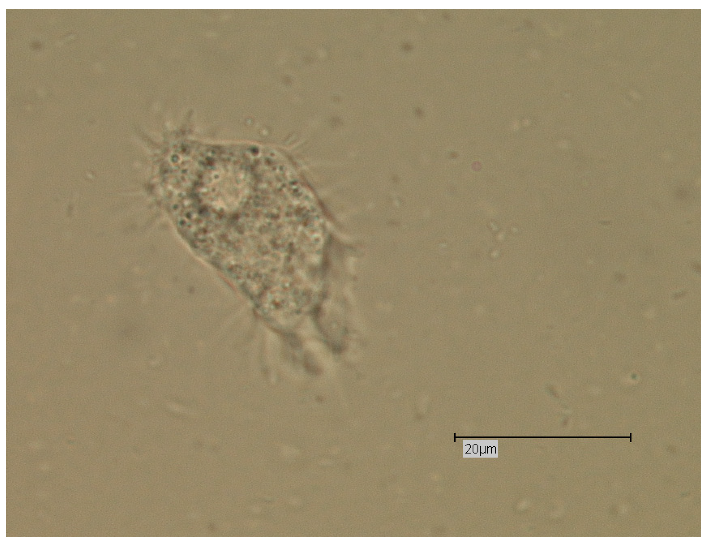 Proceedings 02 00692 g002