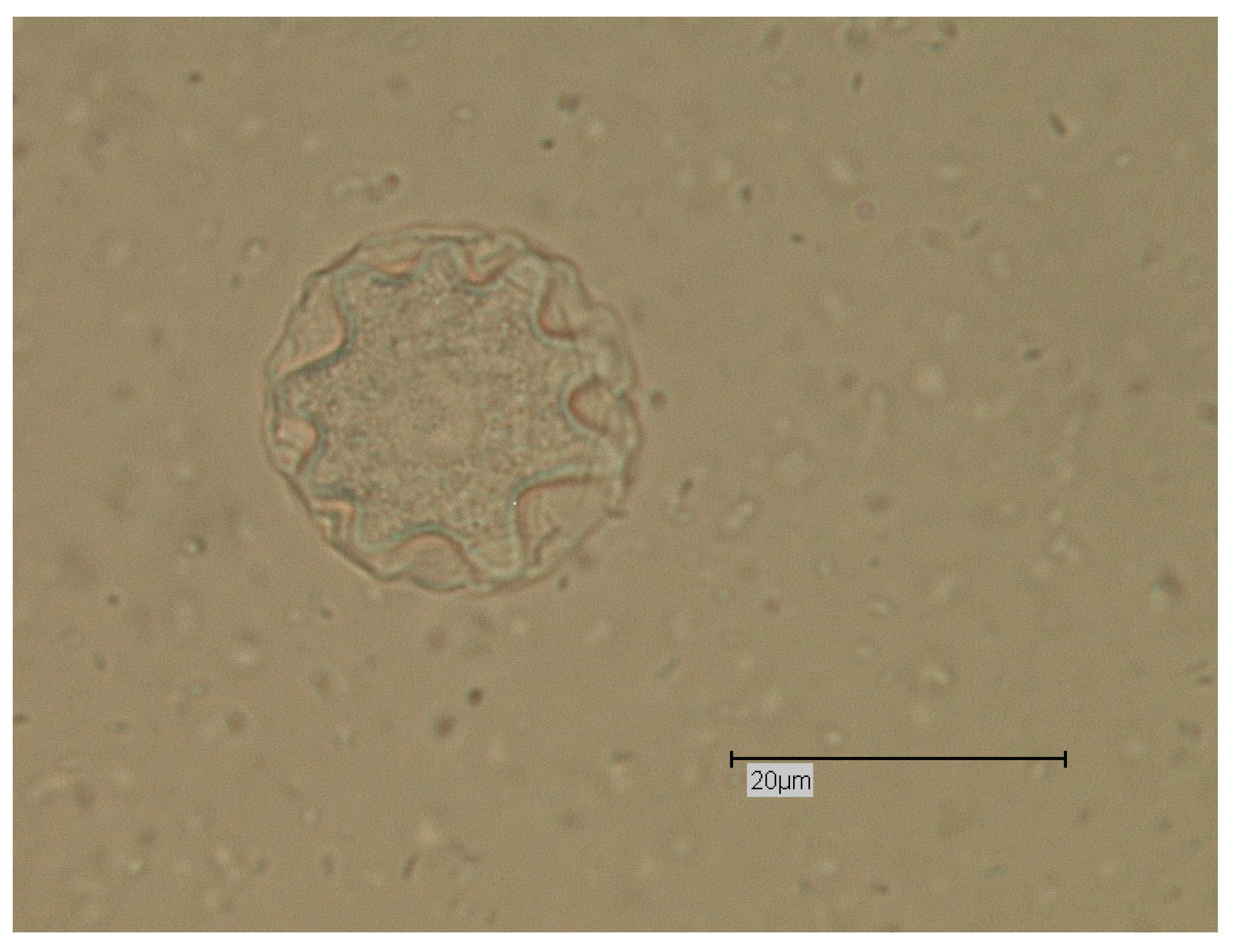 Proceedings 02 00692 g003