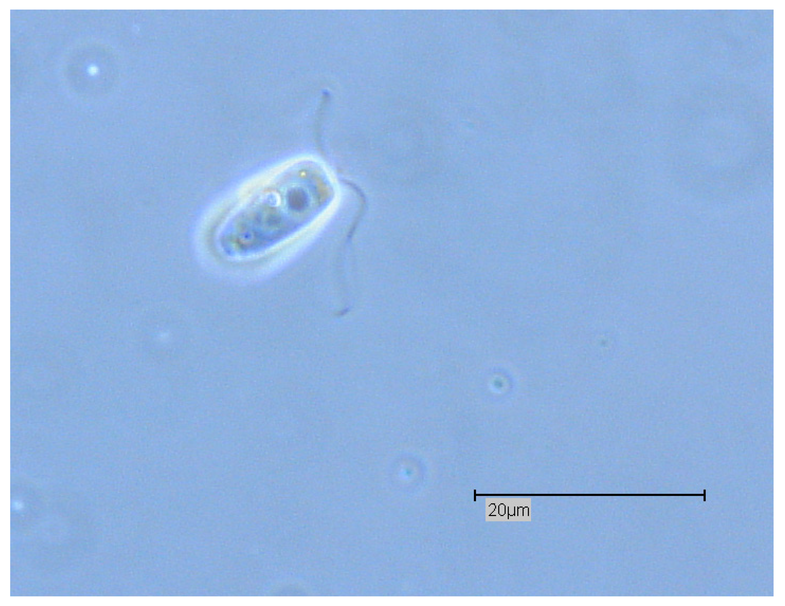 Proceedings 02 00692 g005