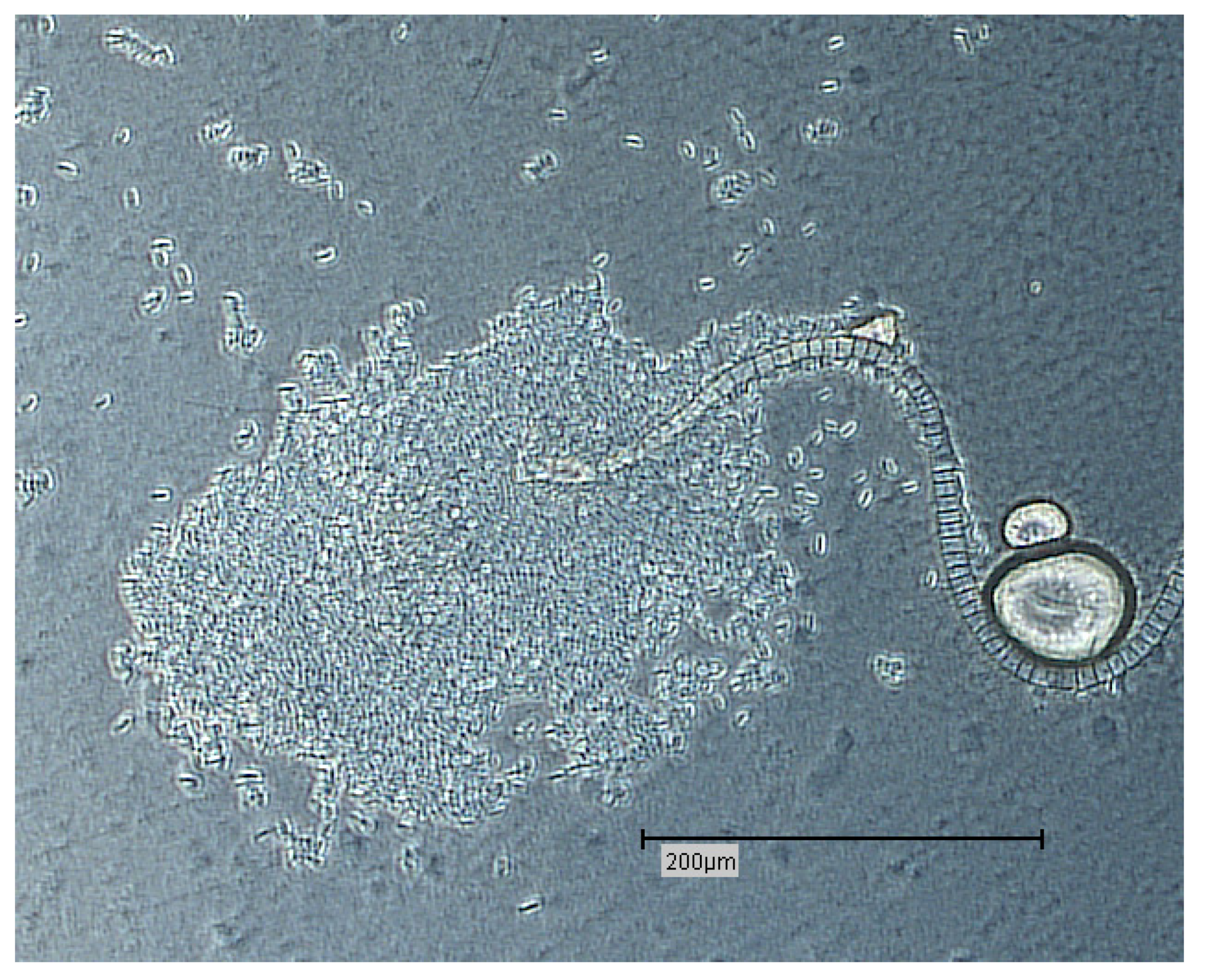 Proceedings 02 00692 g007