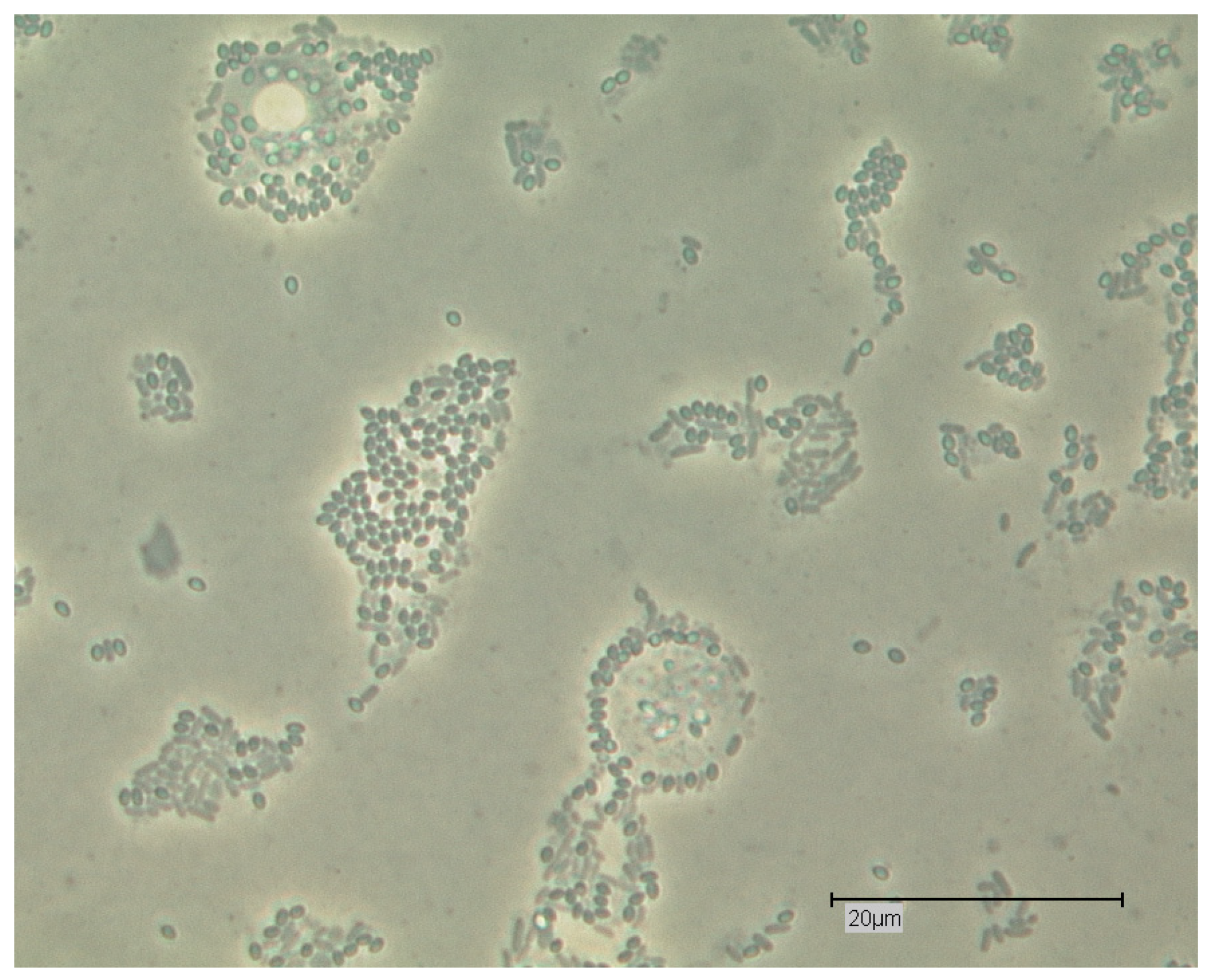 Proceedings 02 00692 g009