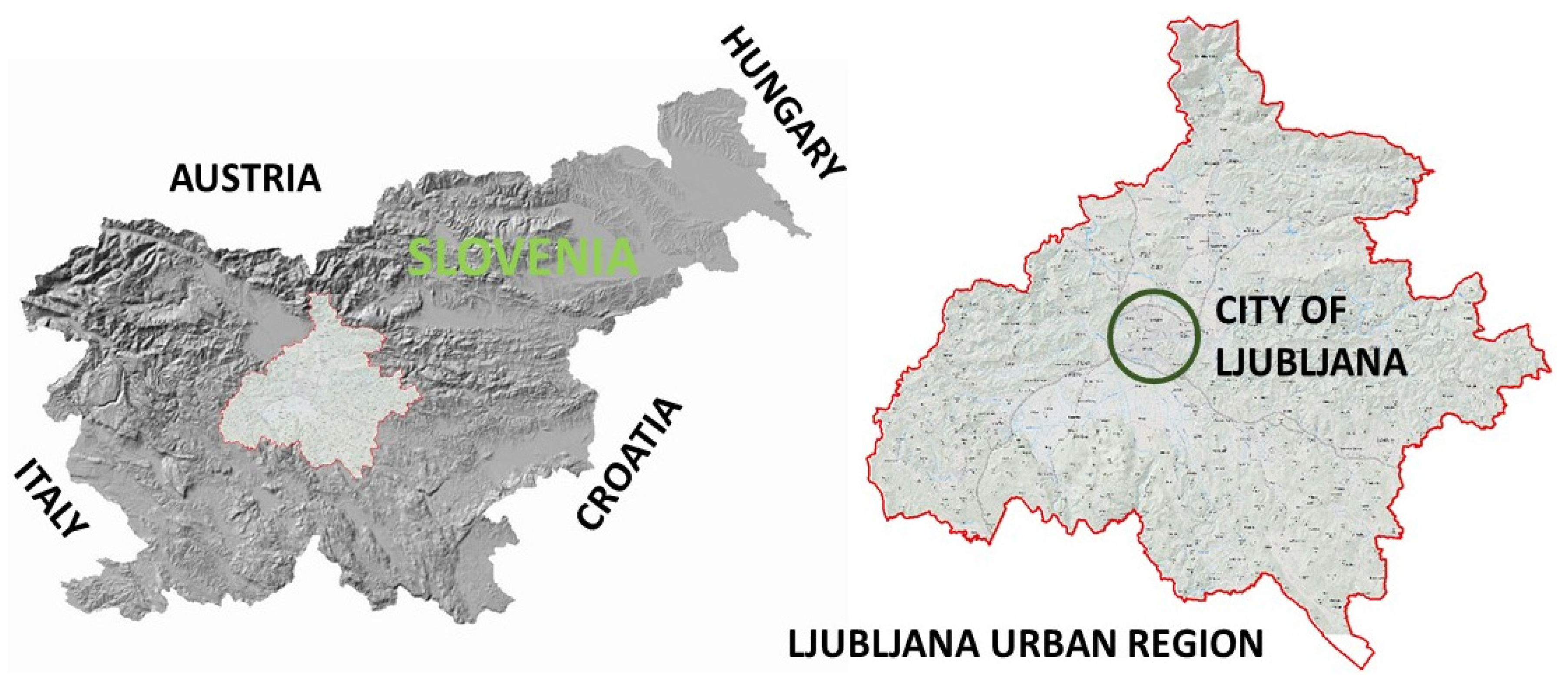 Proceedings 02 00695 g003