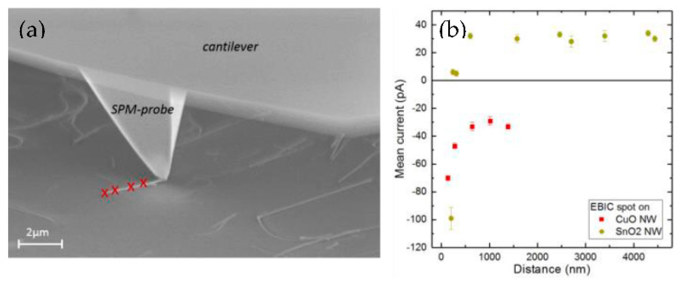 Proceedings 02 00701 g003 550