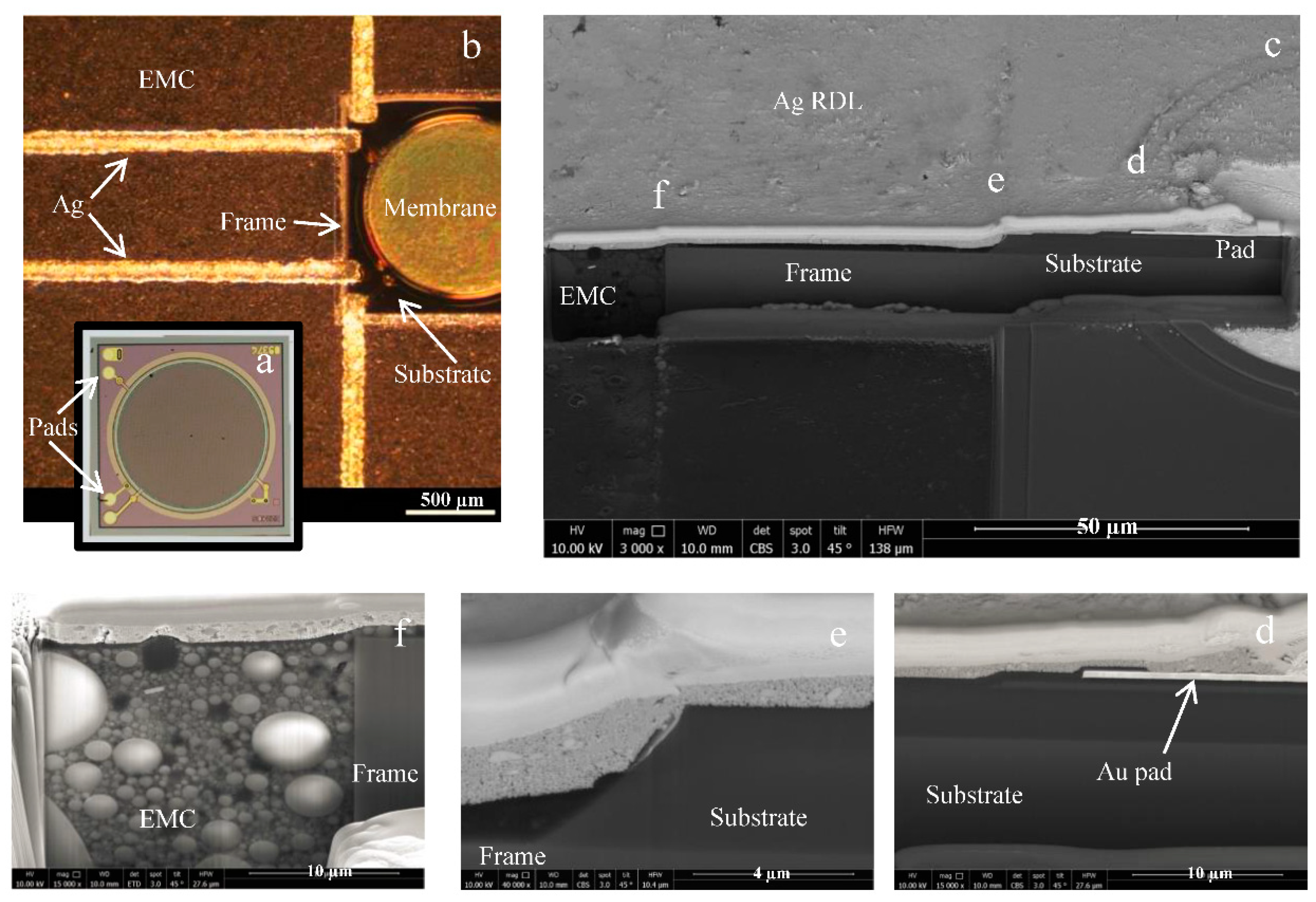 Proceedings 02 00703 g003 550