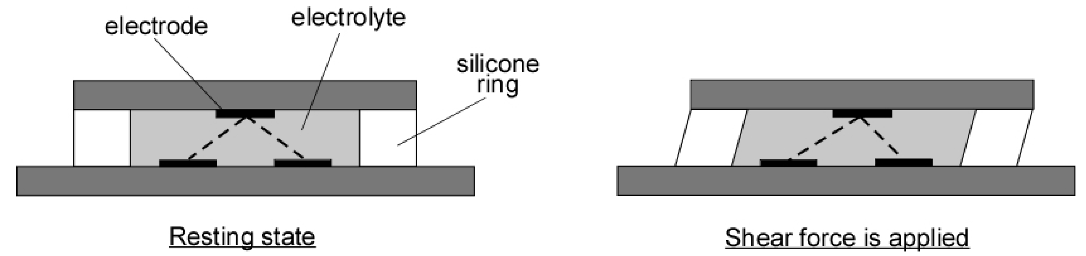 Proceedings 02 00704 g002