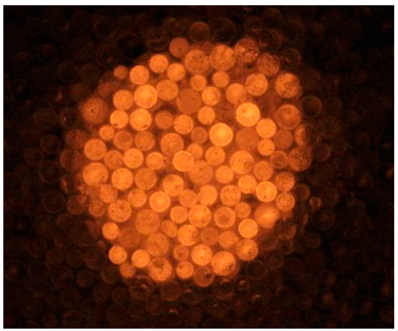 Proceedings 02 00706 g004 550