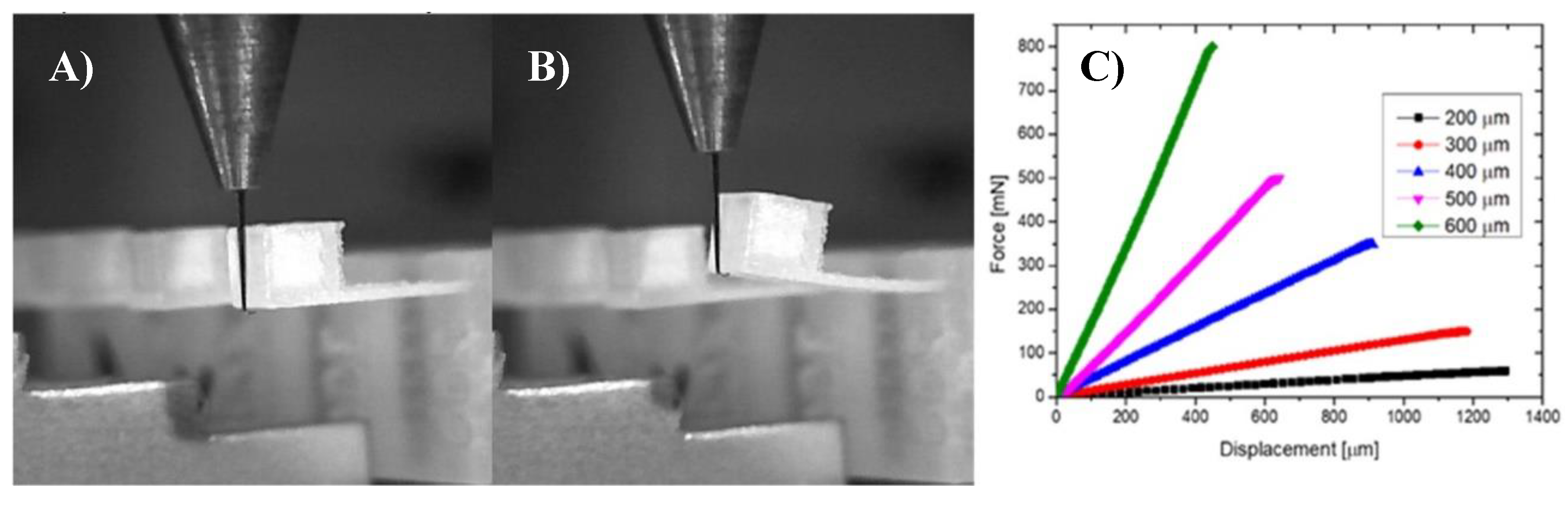 Proceedings 02 00720 g002