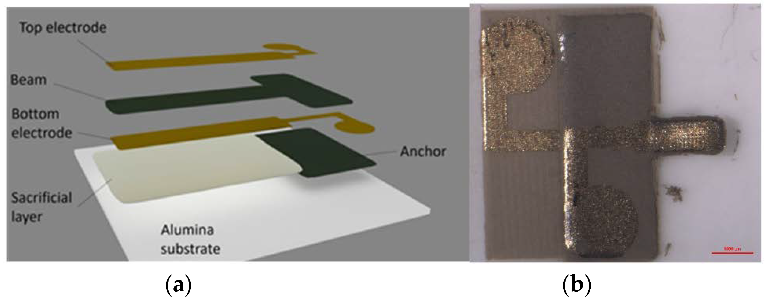 Proceedings 02 00722 g001