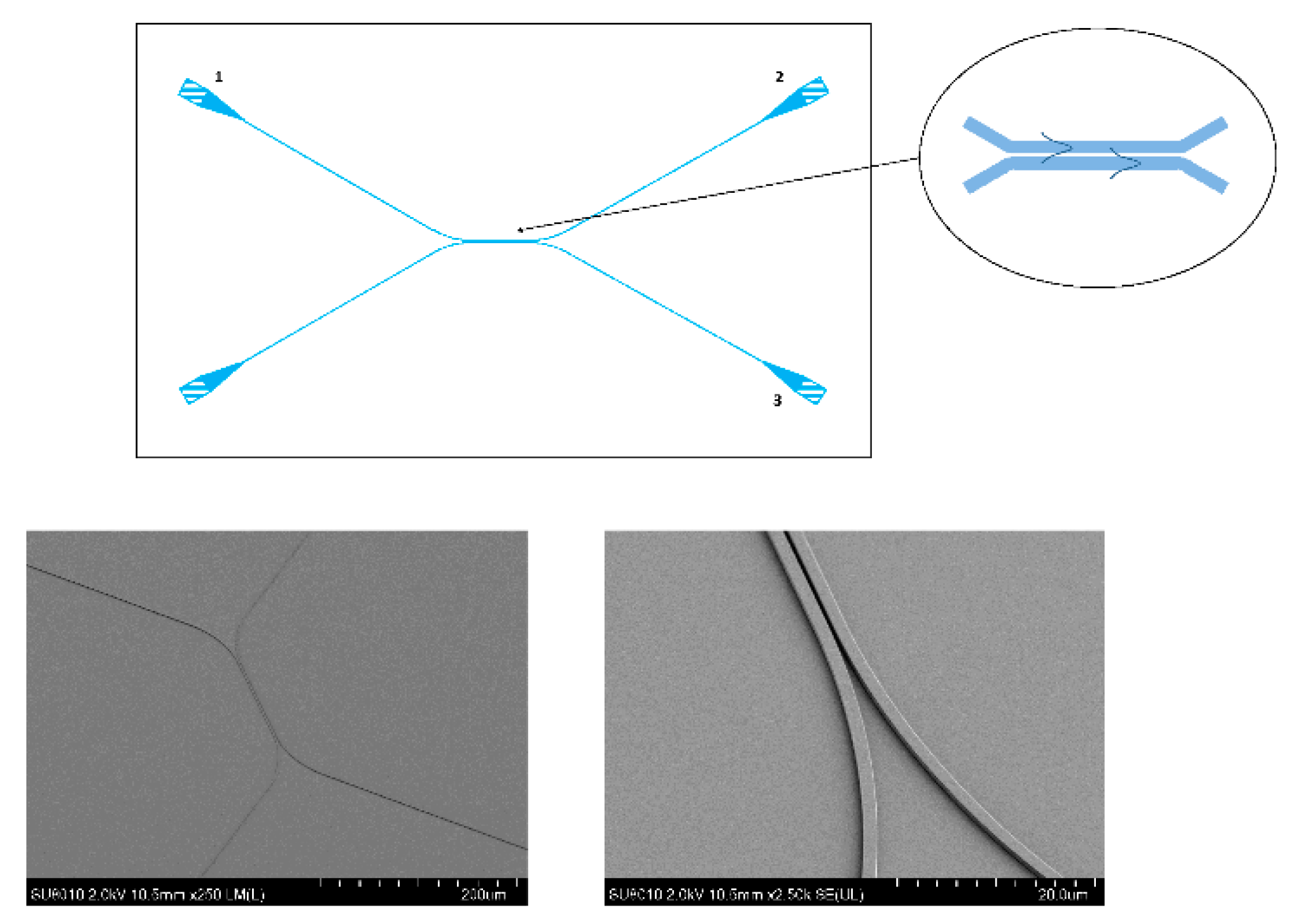 Proceedings 02 00739 g003