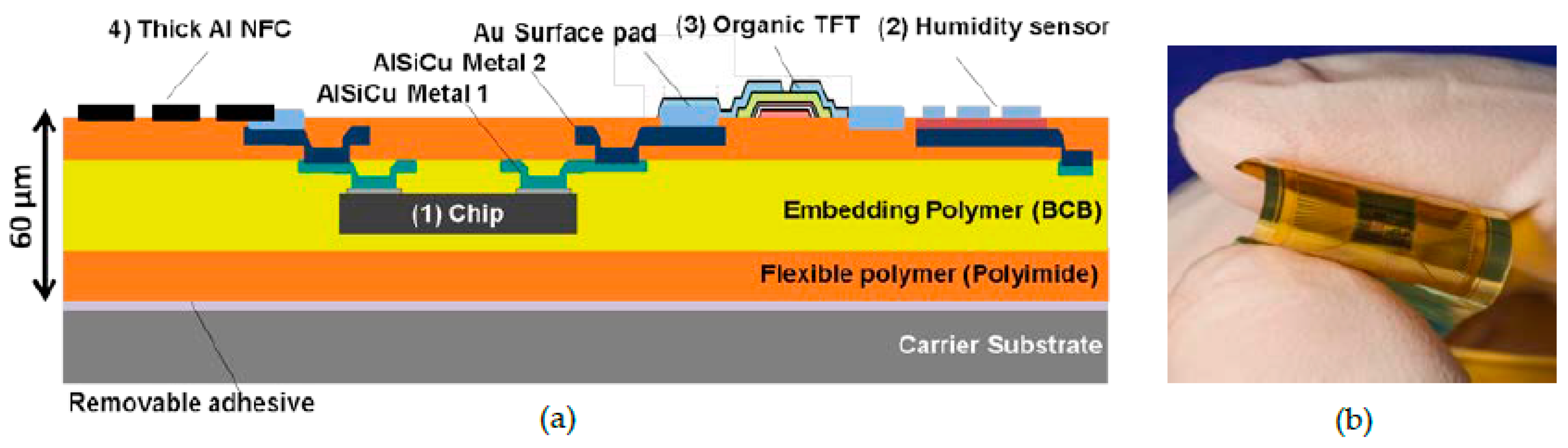 Proceedings 02 00748 g002
