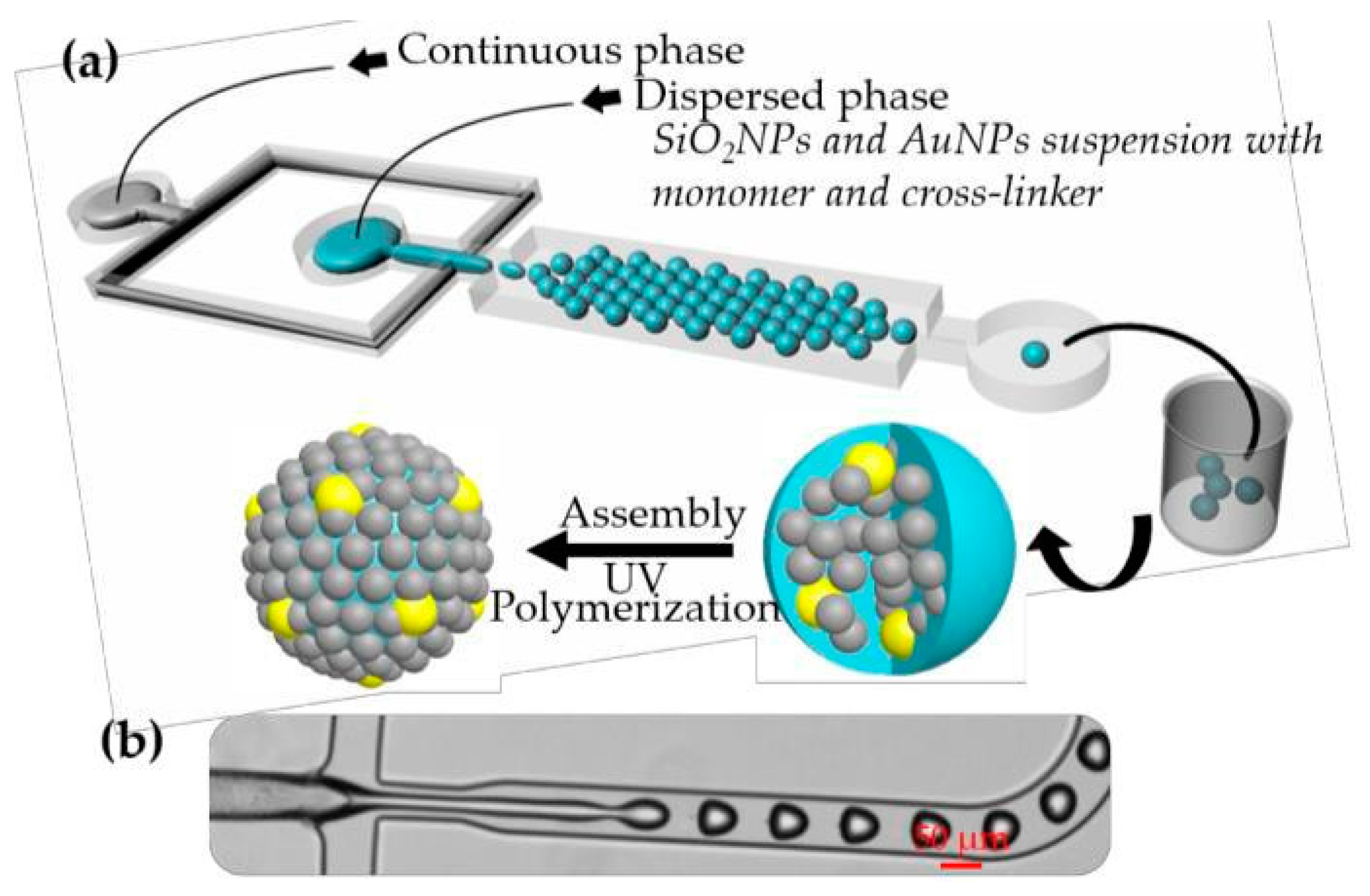 Proceedings 02 00750 g001 550