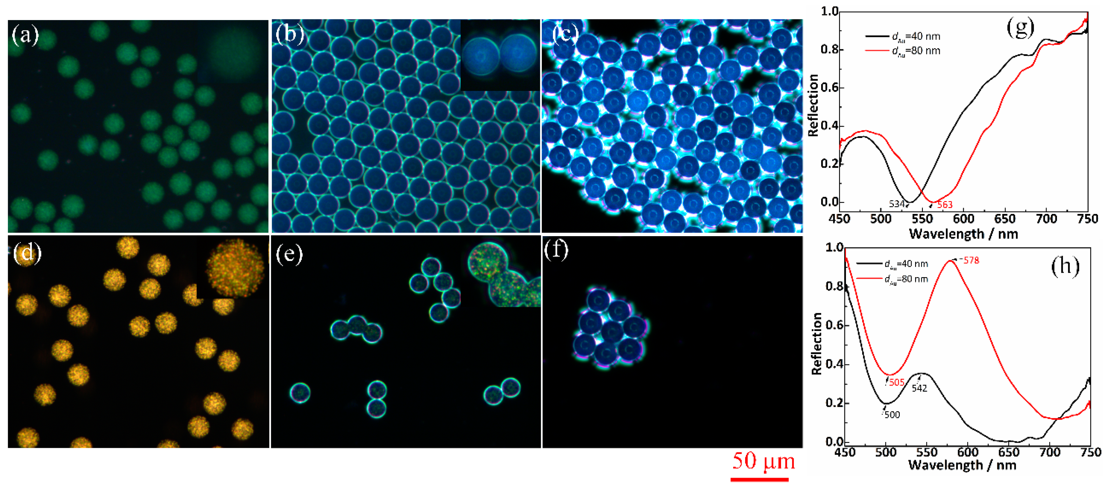 Proceedings 02 00750 g002 550