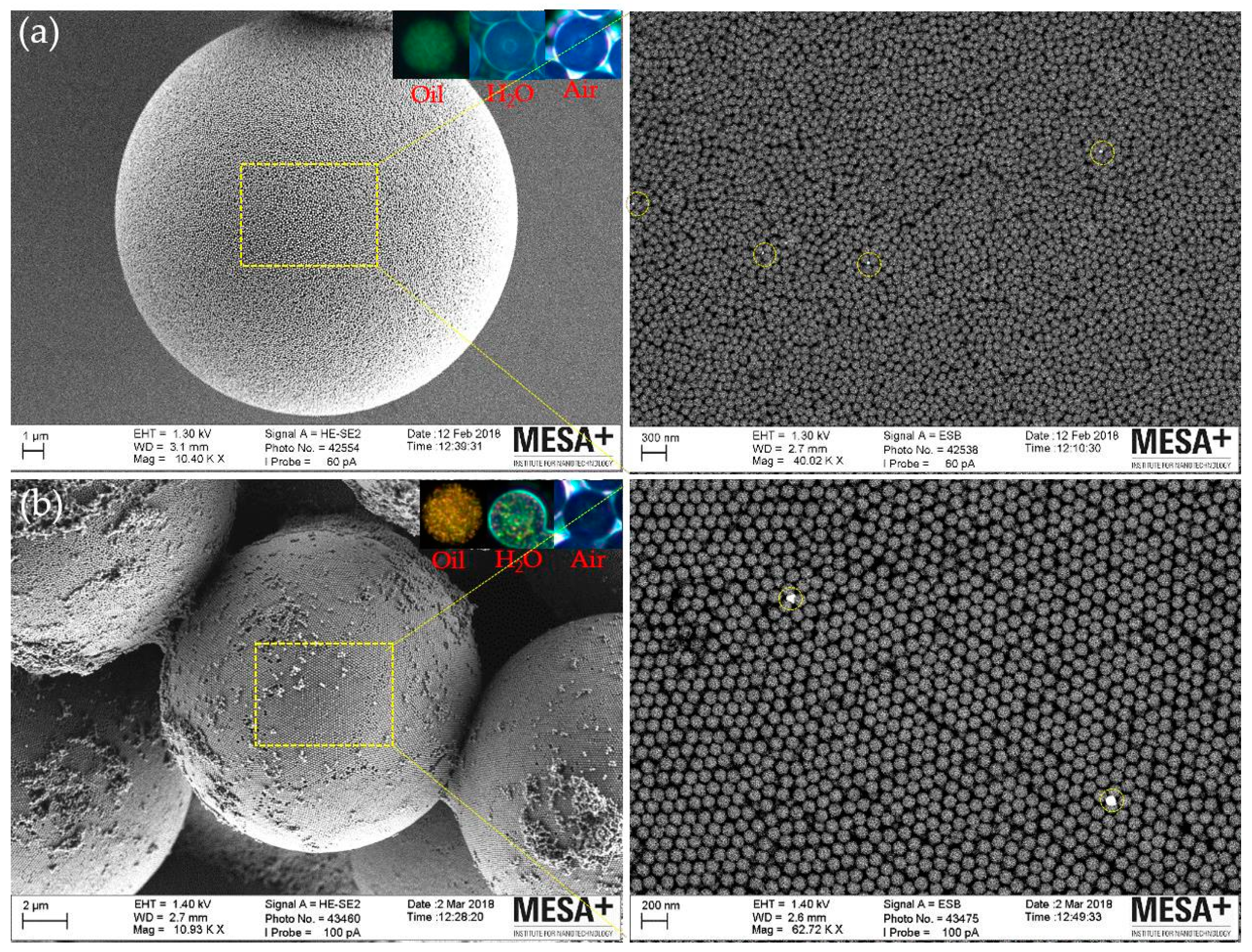 Proceedings 02 00750 g003 550