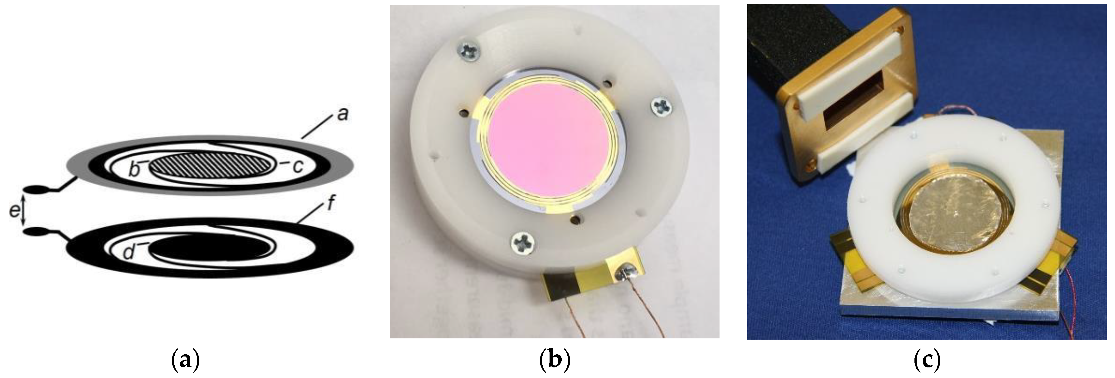 Proceedings 02 00767 g001