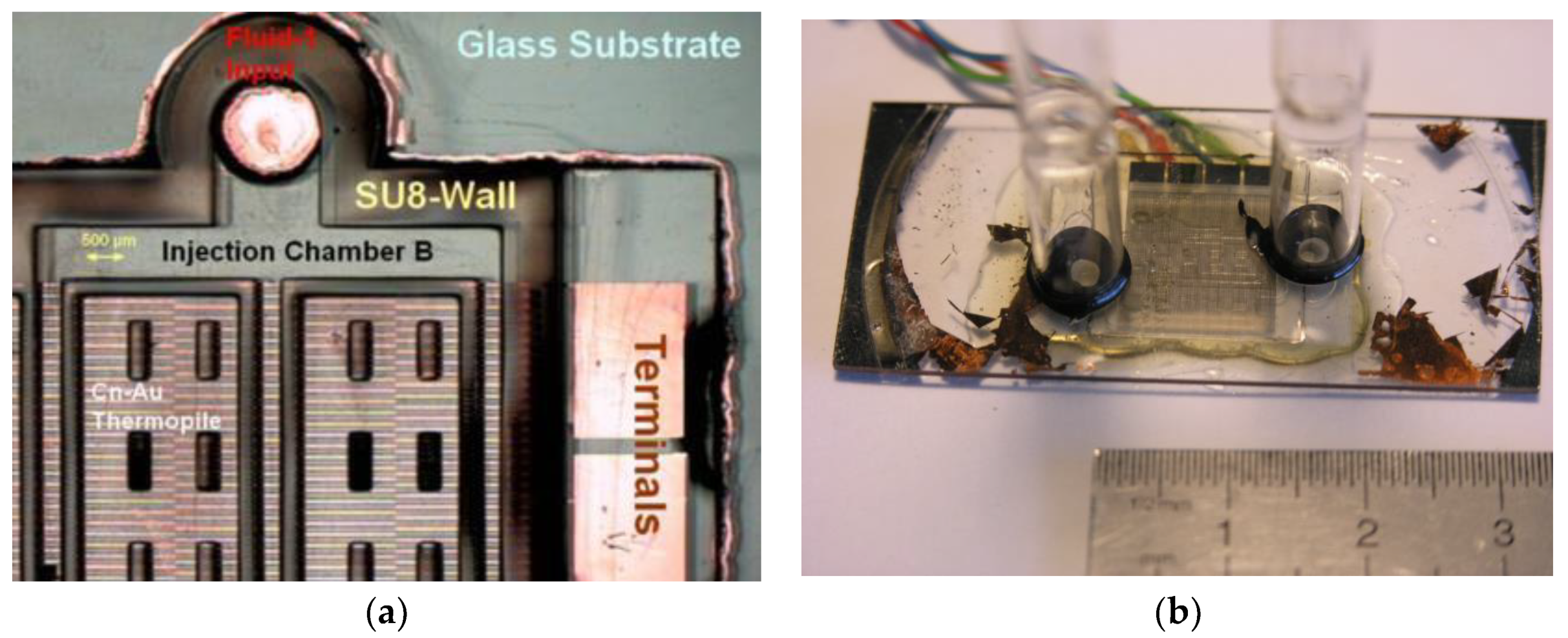 Proceedings 02 00771 g003