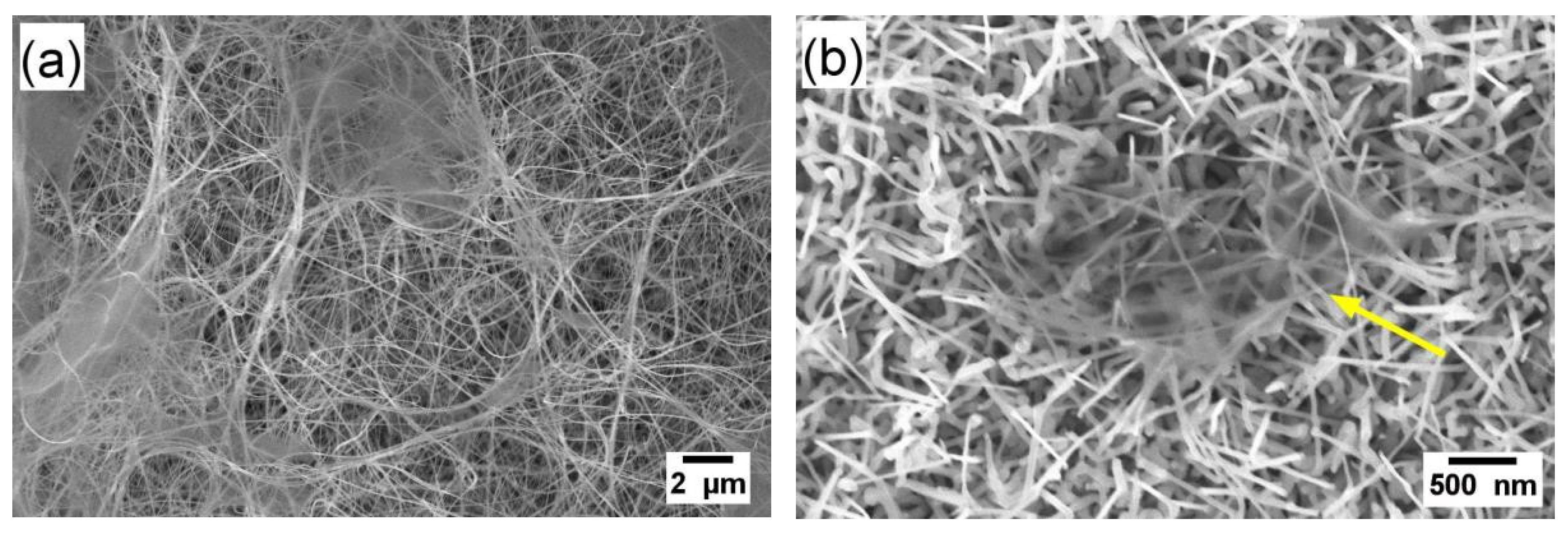 Proceedings 02 00787 g001