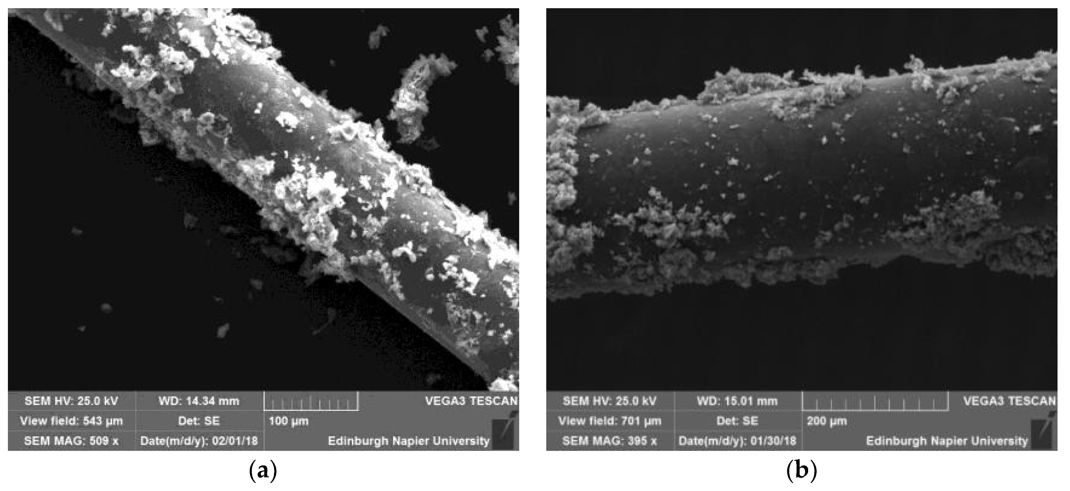 Proceedings 02 00789 g001 550