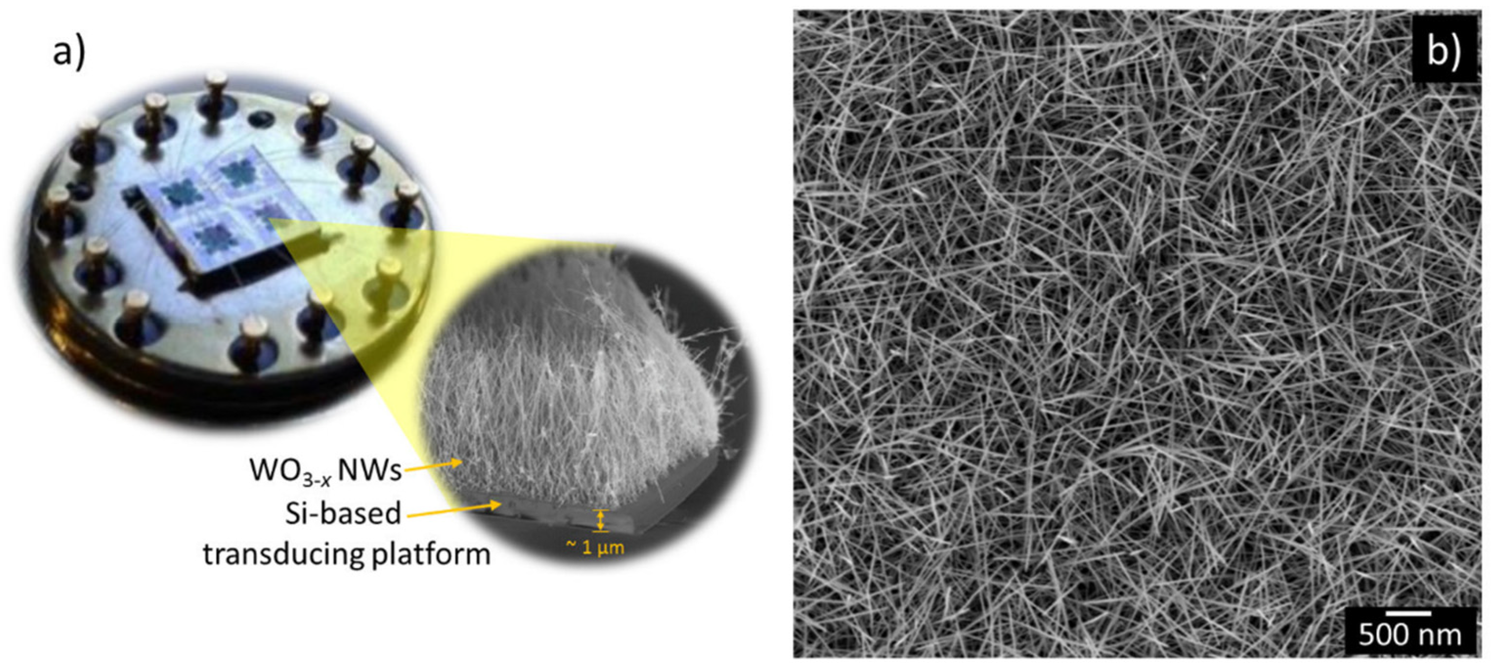 Proceedings 02 00790 g001