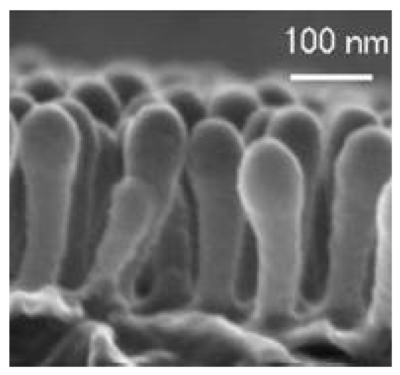 Proceedings 02 00791 g002 550