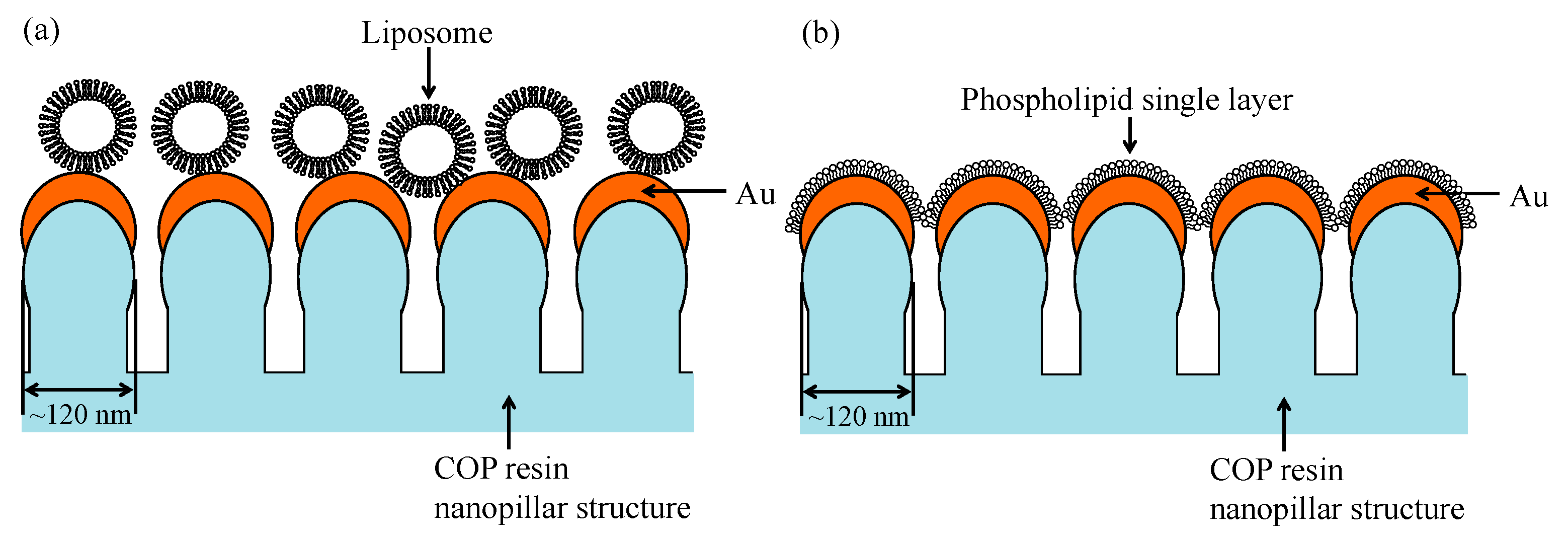 Proceedings 02 00791 g003 550