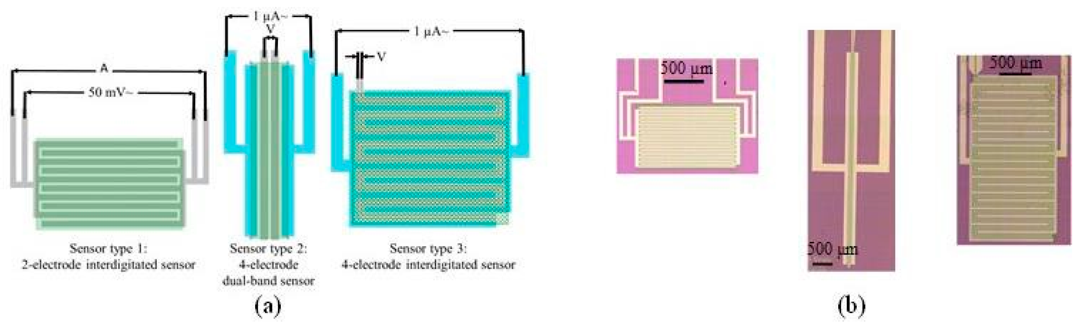 Proceedings 02 00797 g001