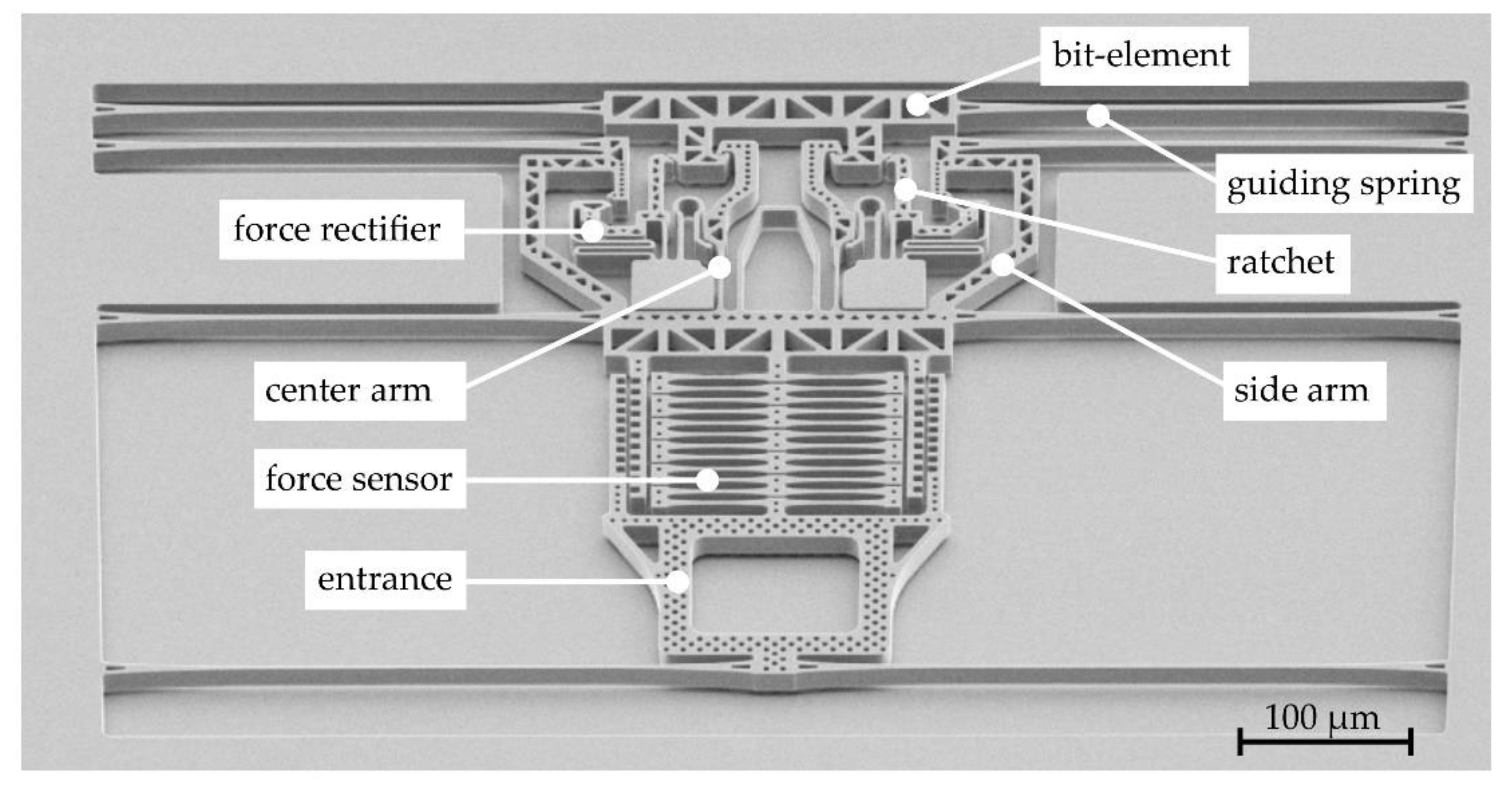 Proceedings 02 00807 g001 550