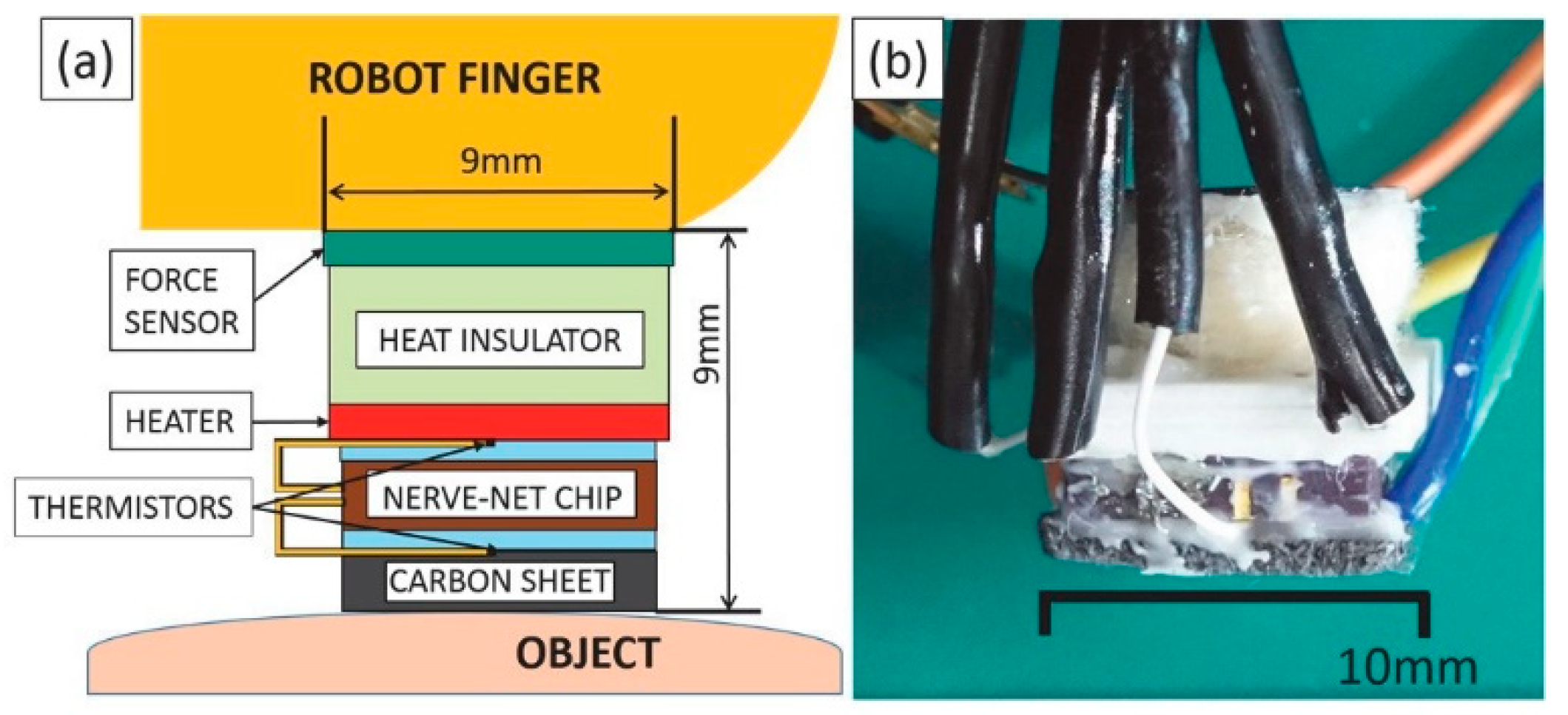 Proceedings 02 00808 g003