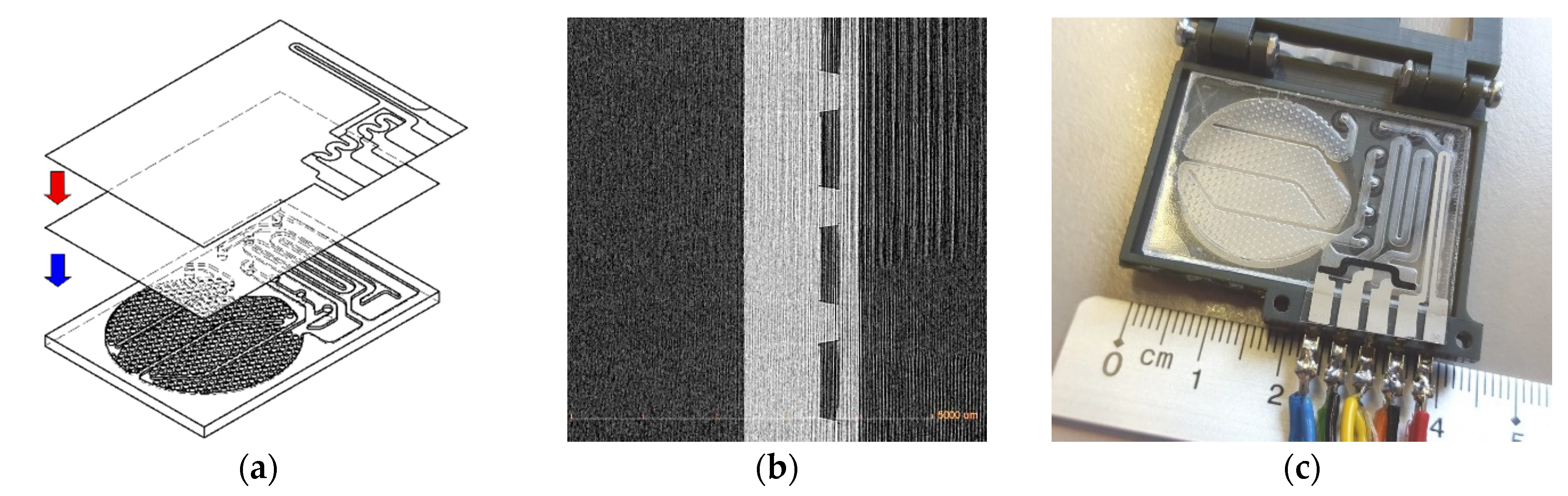 Proceedings 02 00810 g002 550