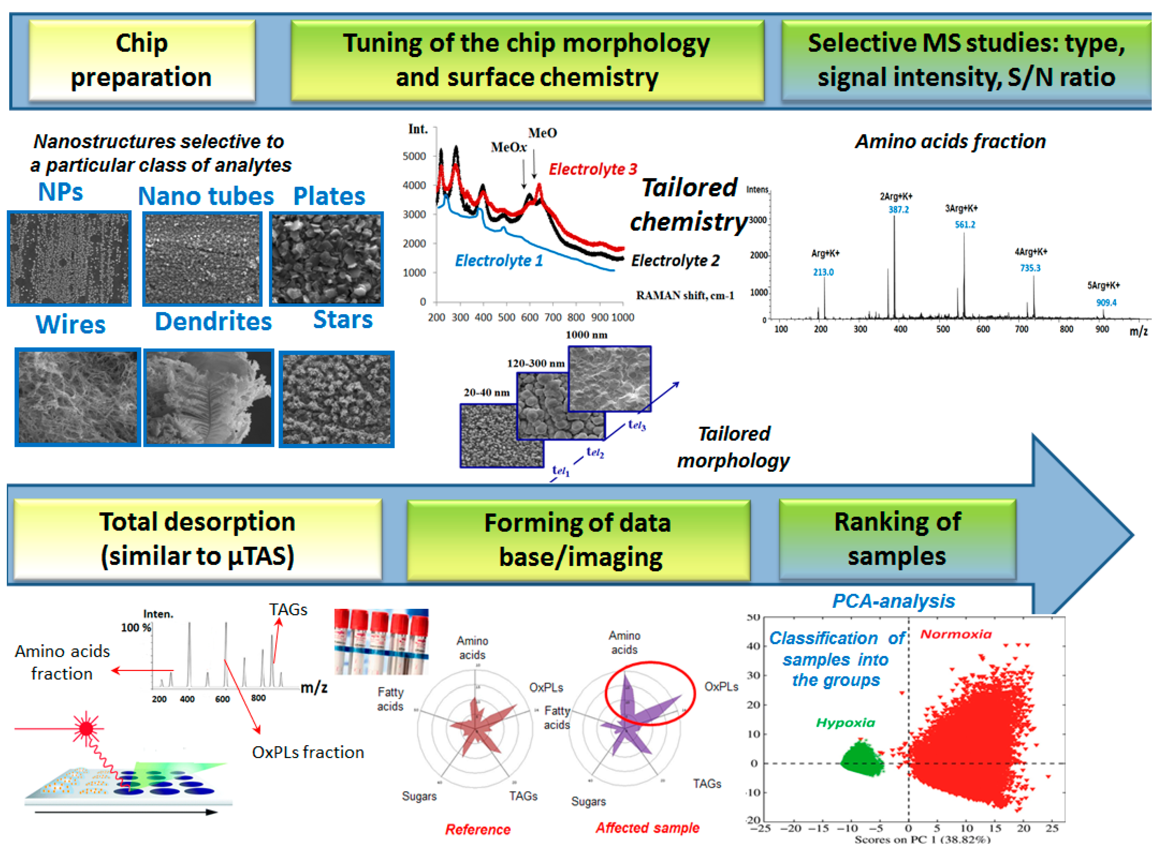 Proceedings 02 00817 g002