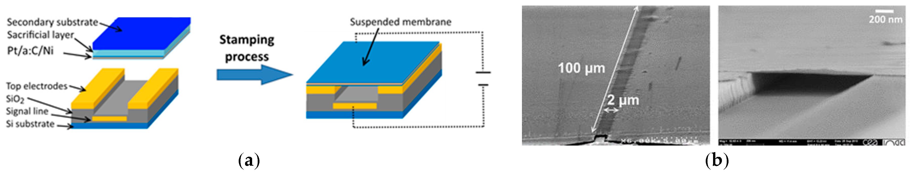 Proceedings 02 00818 g001