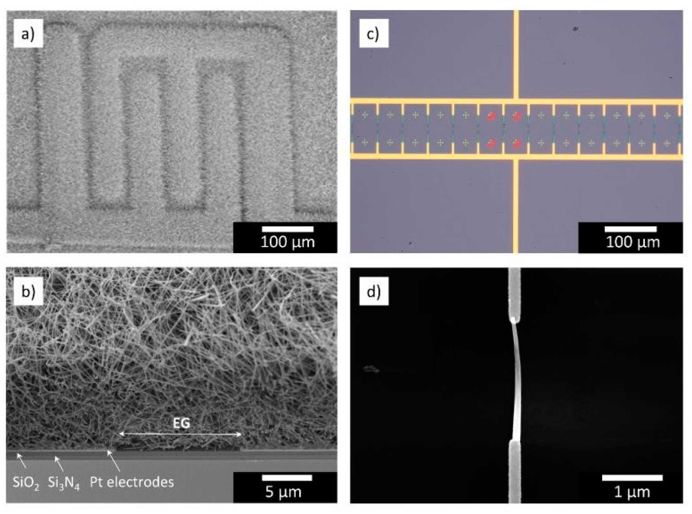 Proceedings 02 00823 g001
