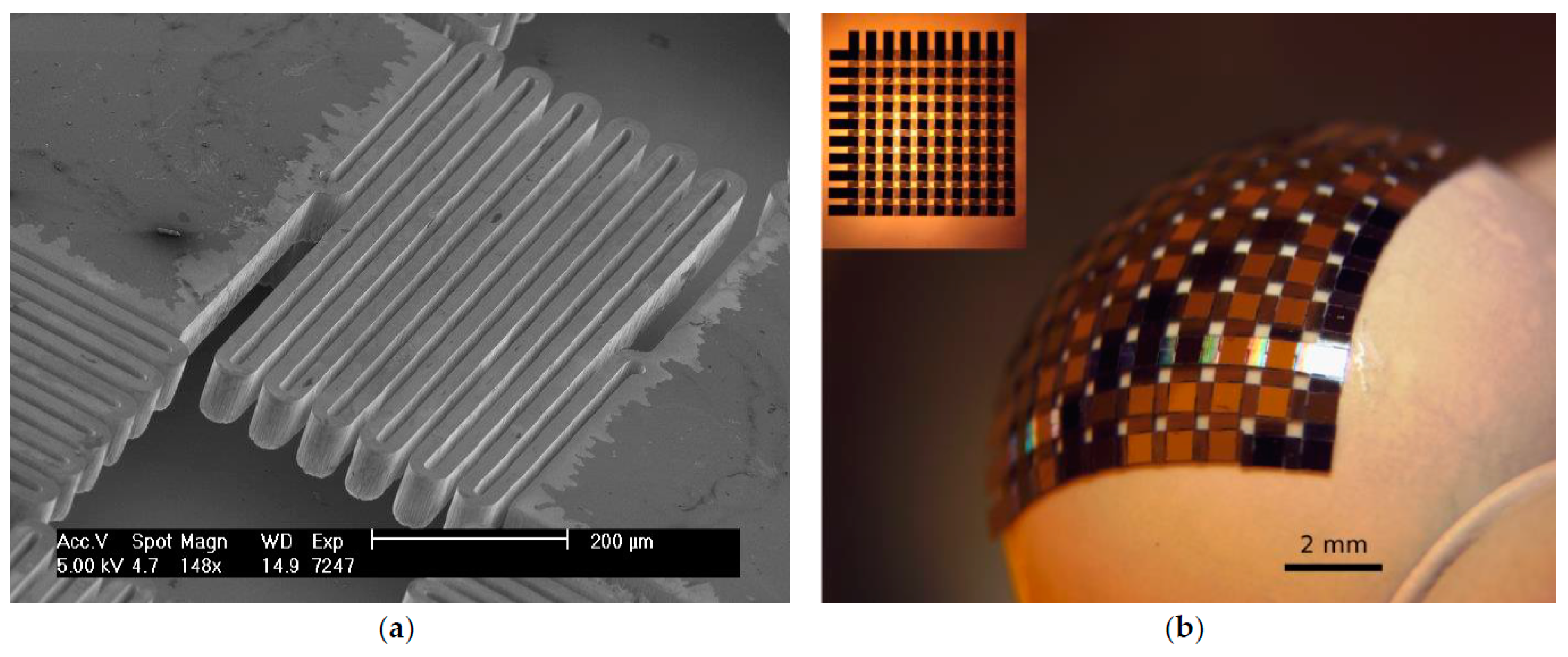 Proceedings 02 00837 g003