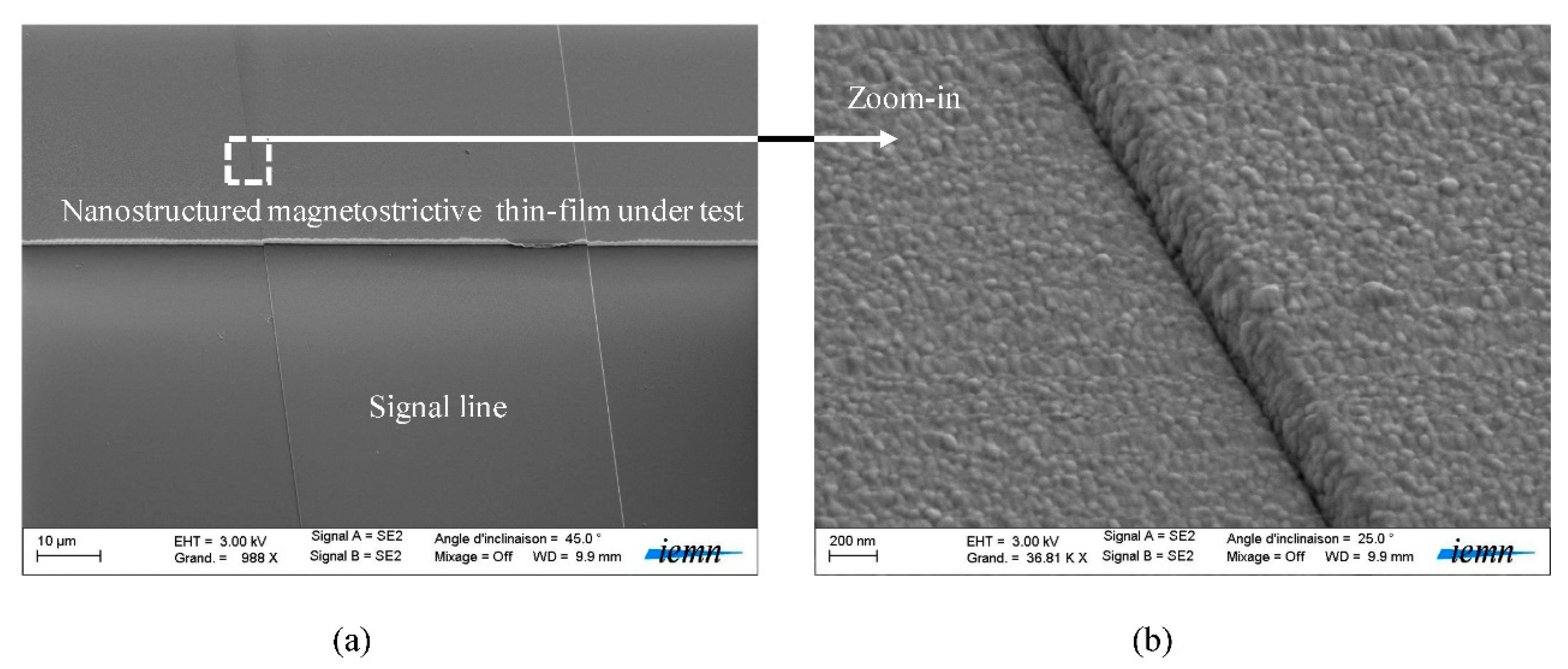 Proceedings 02 00851 g002 550