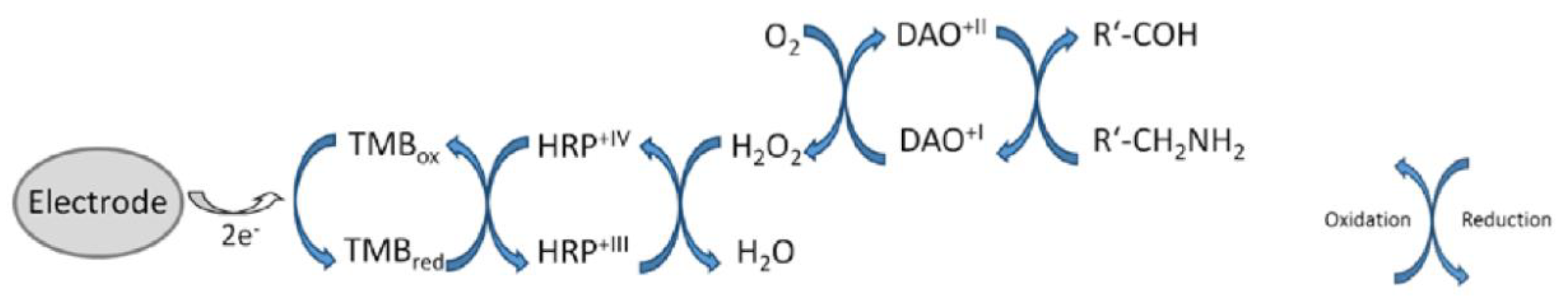 Proceedings 02 00853 g001