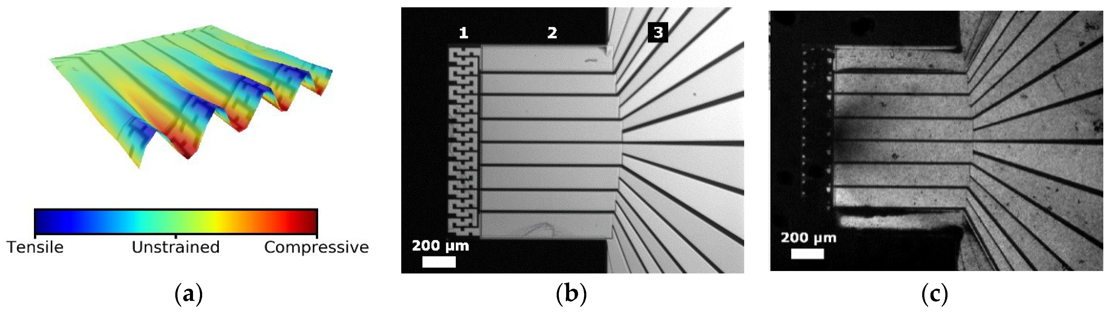 Proceedings 02 00868 g001 550