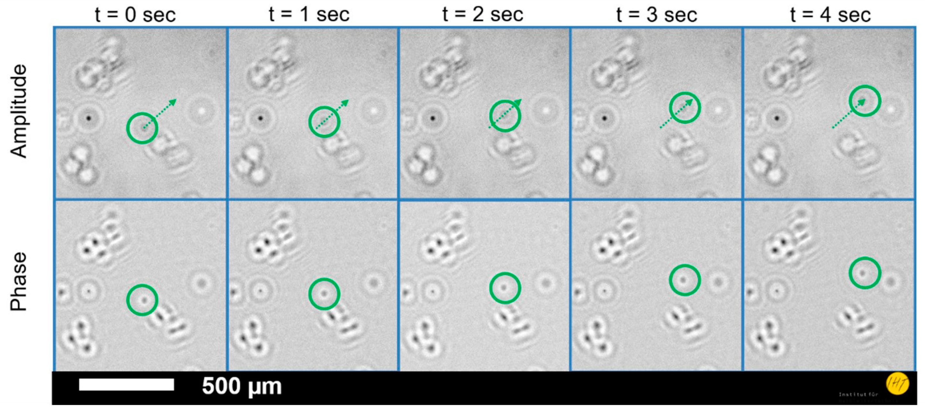 Proceedings 02 00877 g003 Proceedings 02 00877 g003