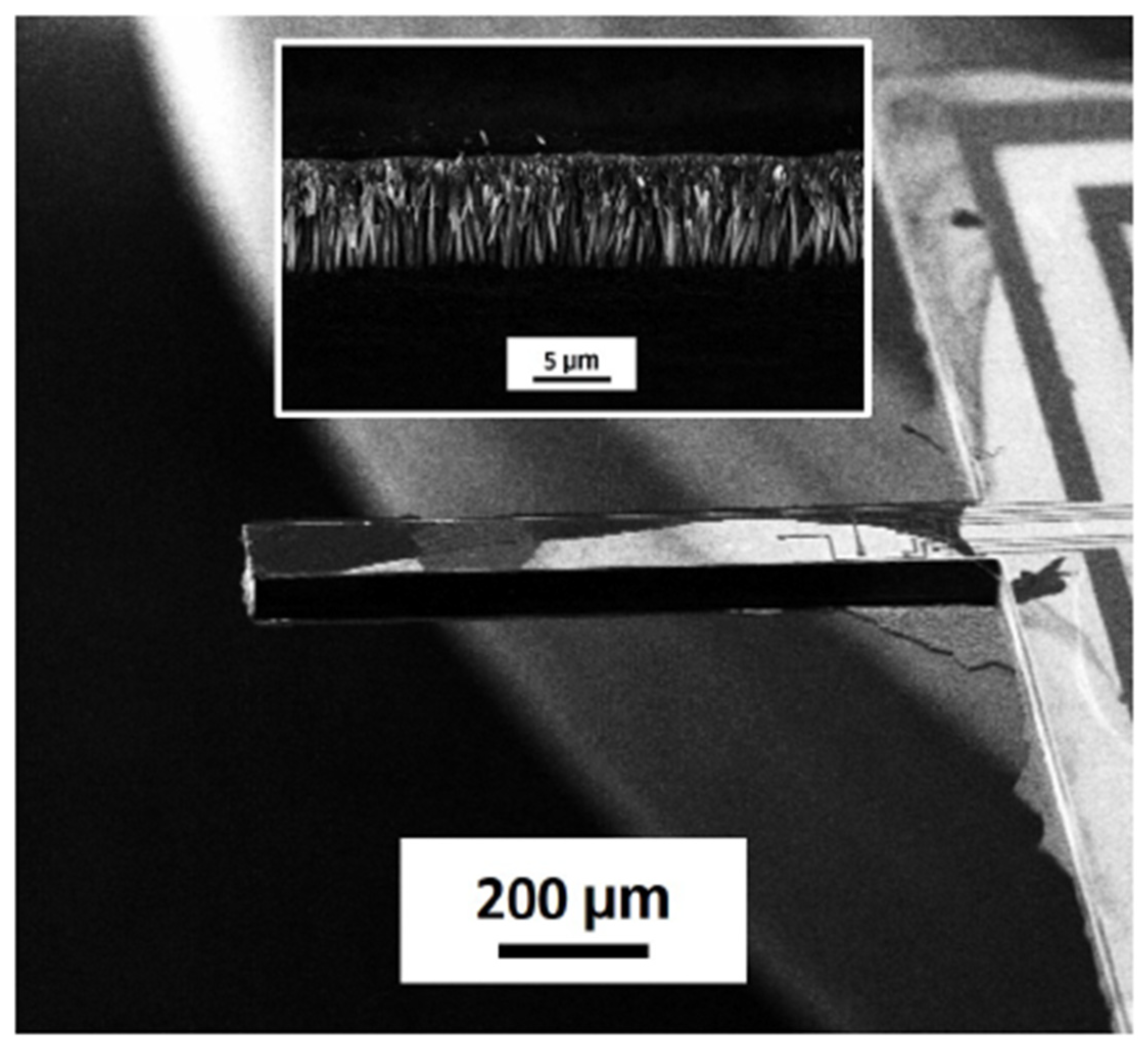 Proceedings 02 00887 g006 550