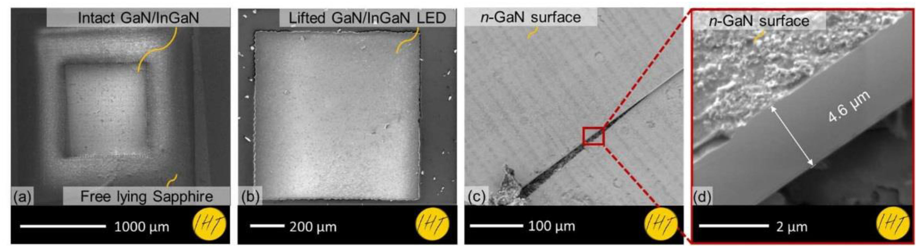 Proceedings 02 00891 g003