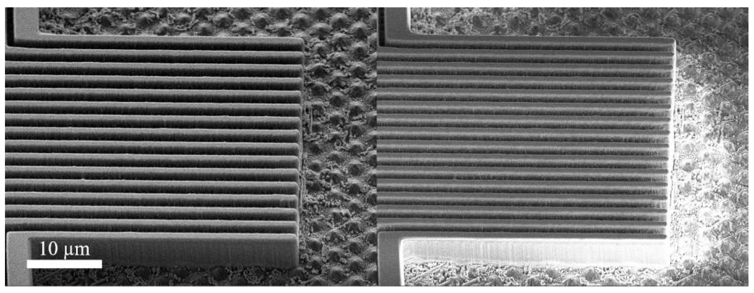 Proceedings 02 00892 g003 550