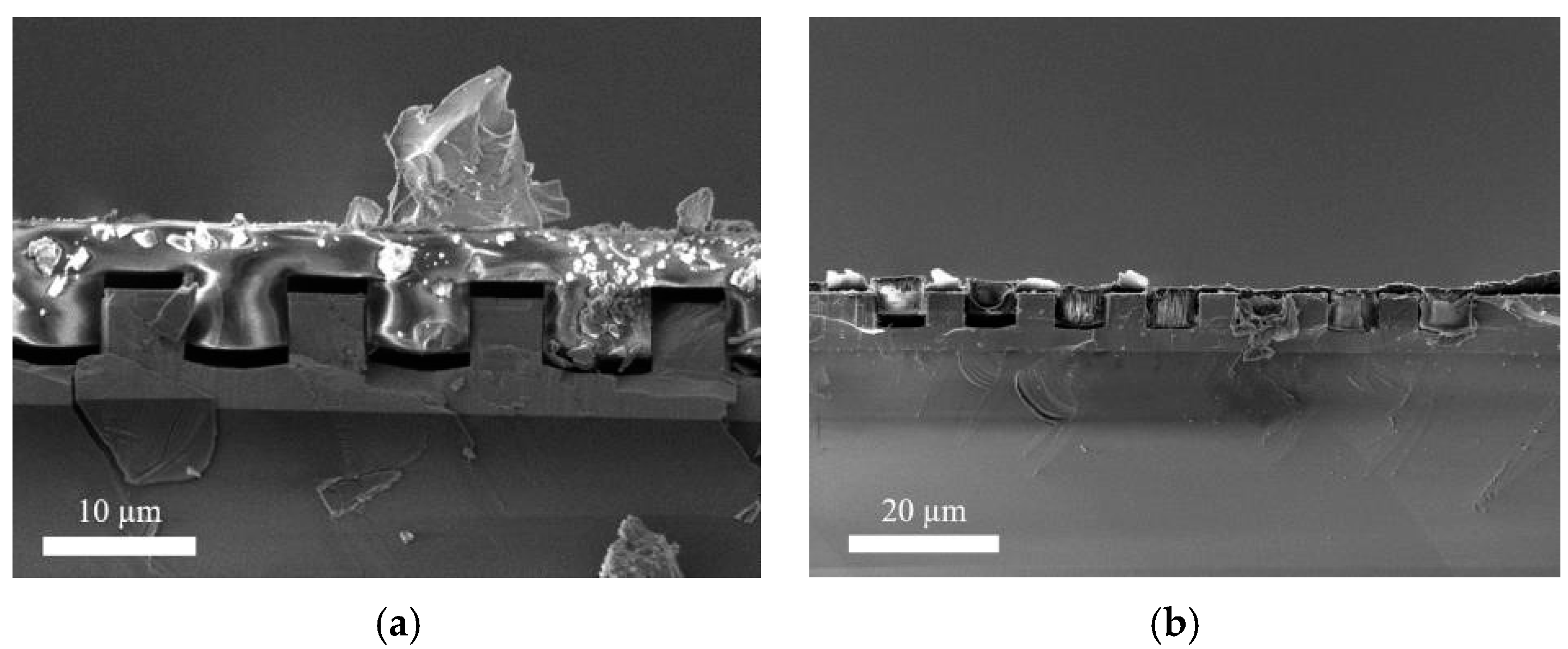 Proceedings 02 00892 g004 550