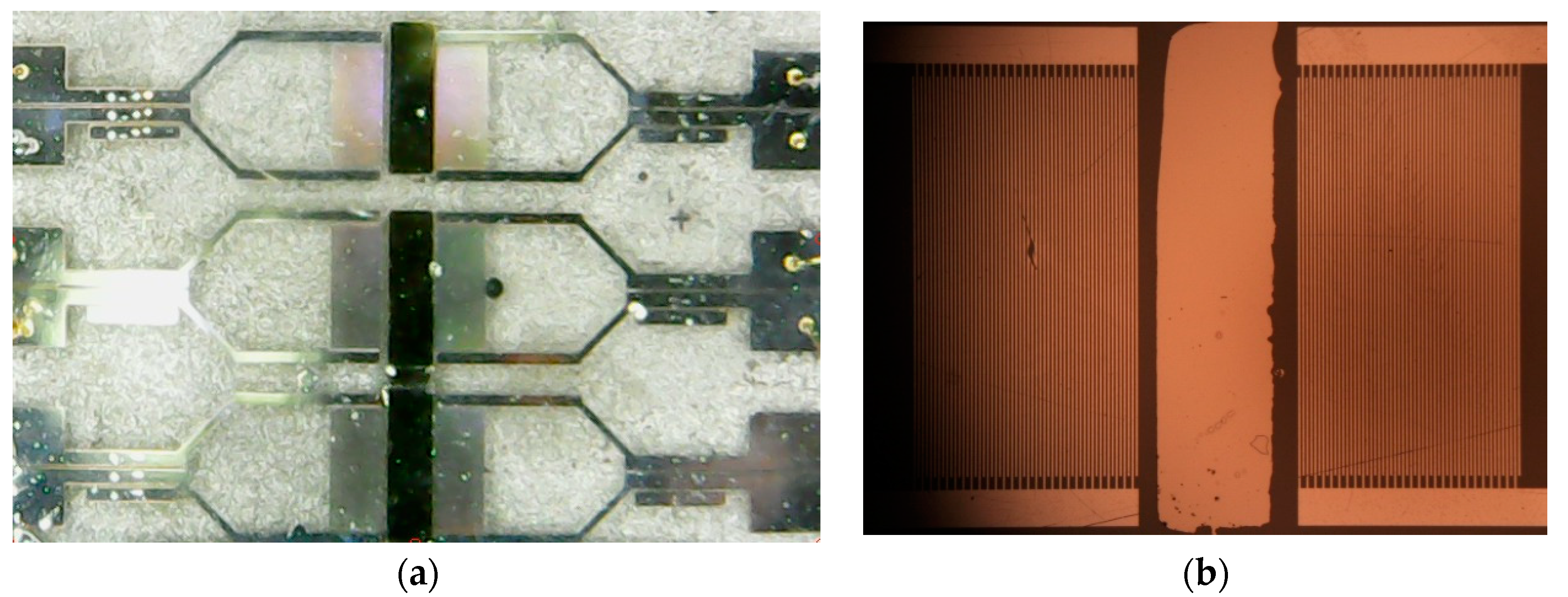 Proceedings 02 00902 g002