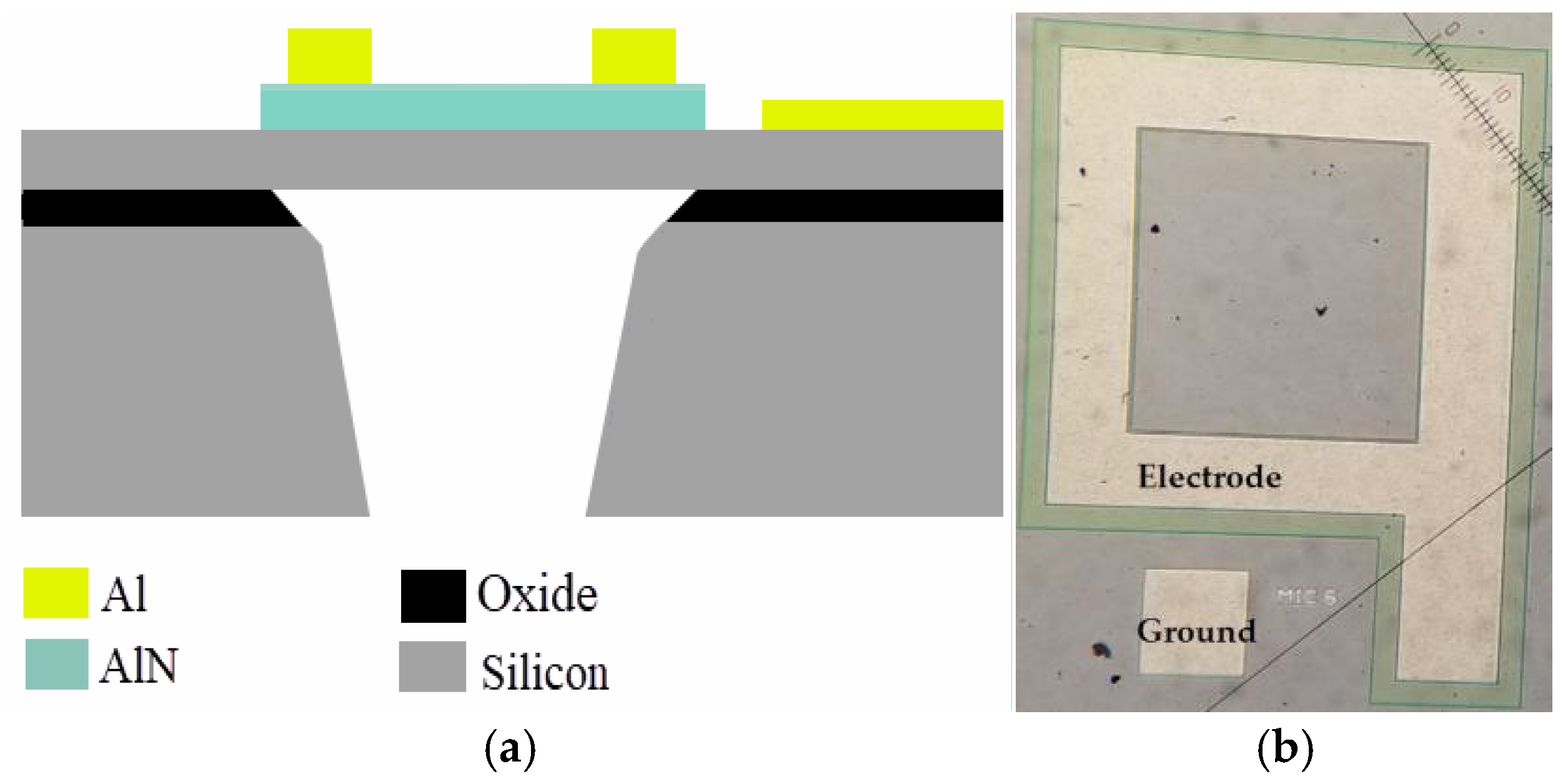 Proceedings 02 00913 g002