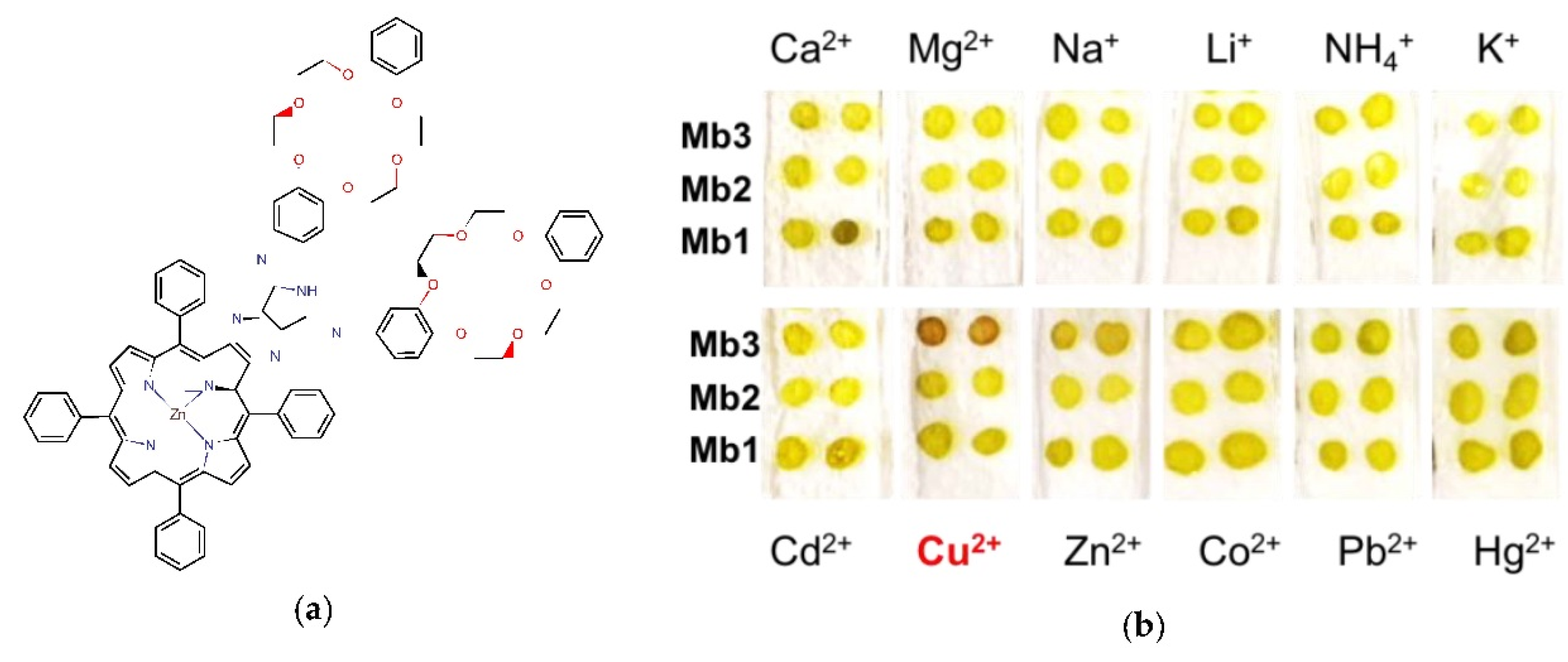 Proceedings 02 00922 g001 550