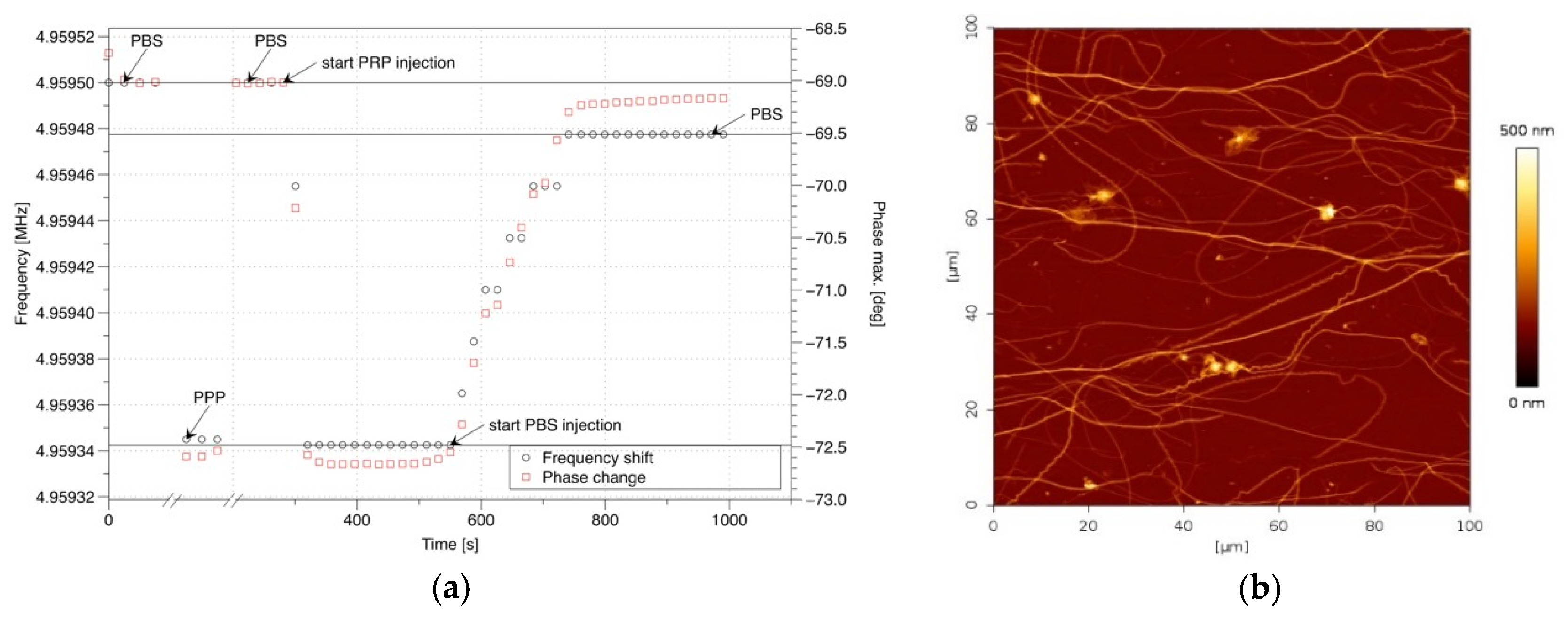 Proceedings 02 00940 g003 550